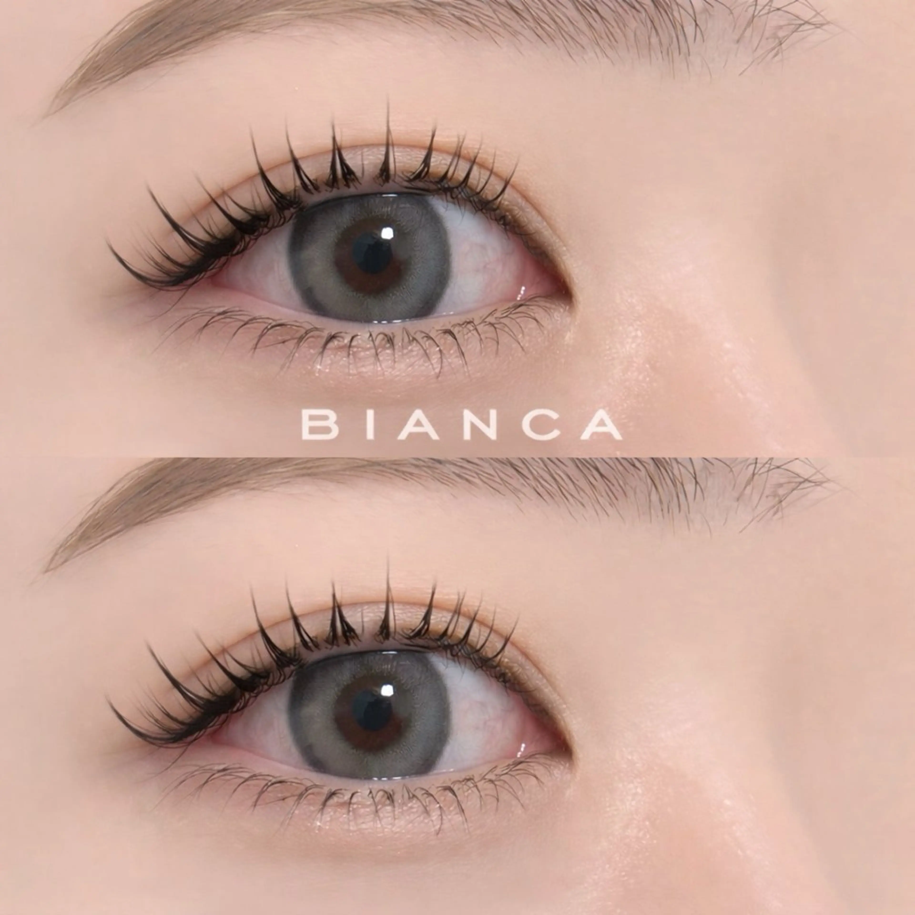 マツエク・マツパ マツパ 🌱‬Bianca 大宮店 MAEDAのマツエク・マツパデザイン