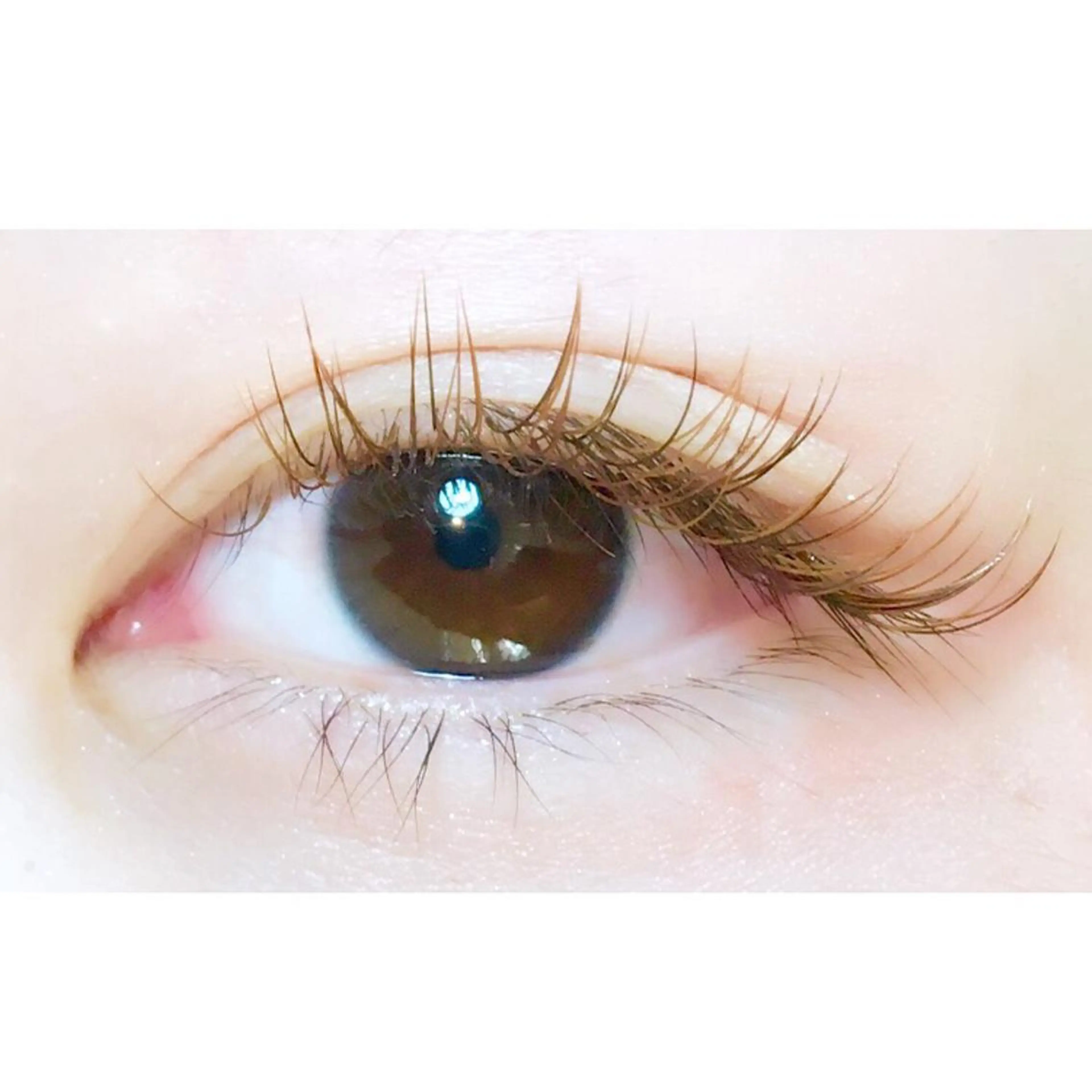 マツエク・マツパ merry eyelashのマツエク・マツパデザイン