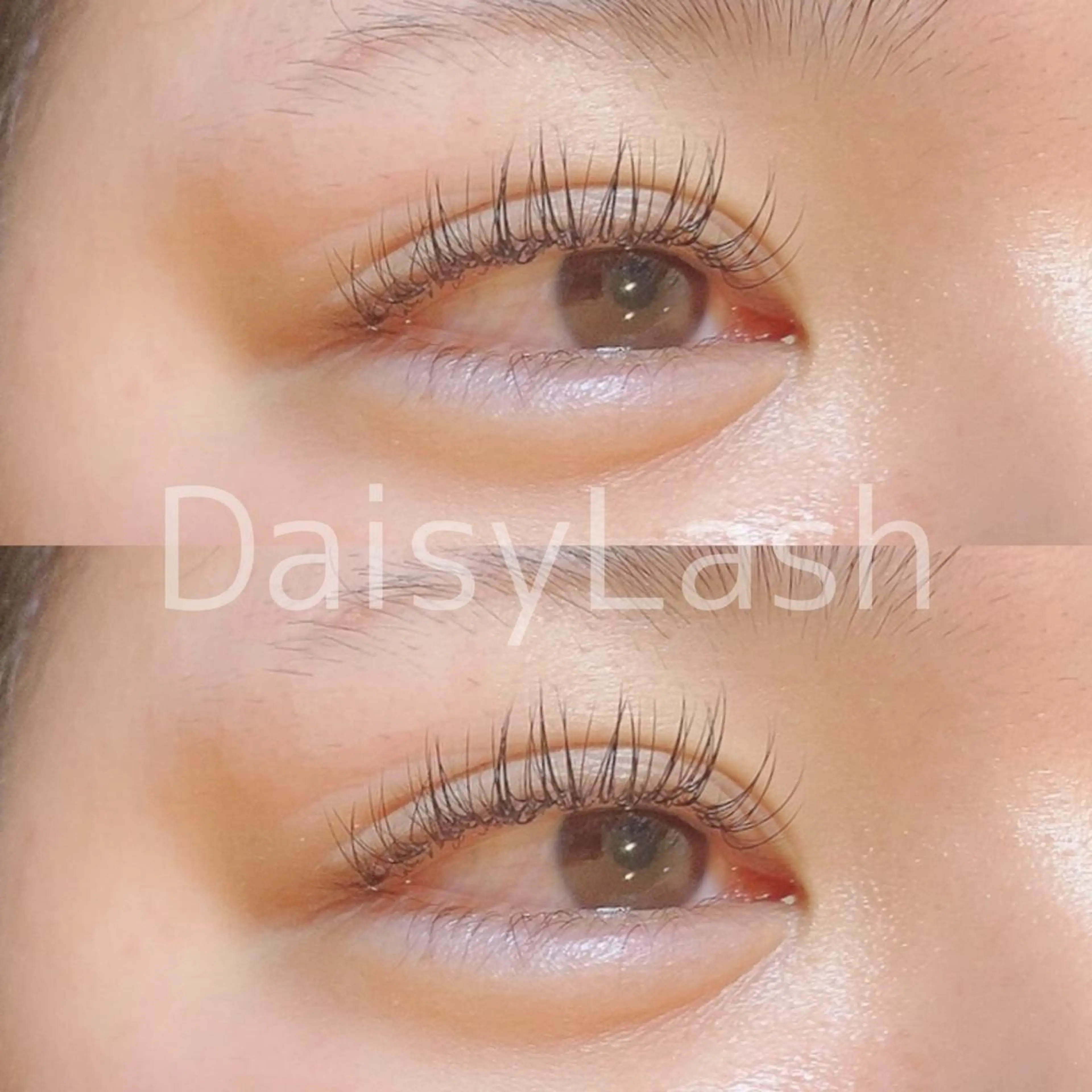 マツエク・マツパ DaisyLash 京橋店のマツエク・マツパデザイン