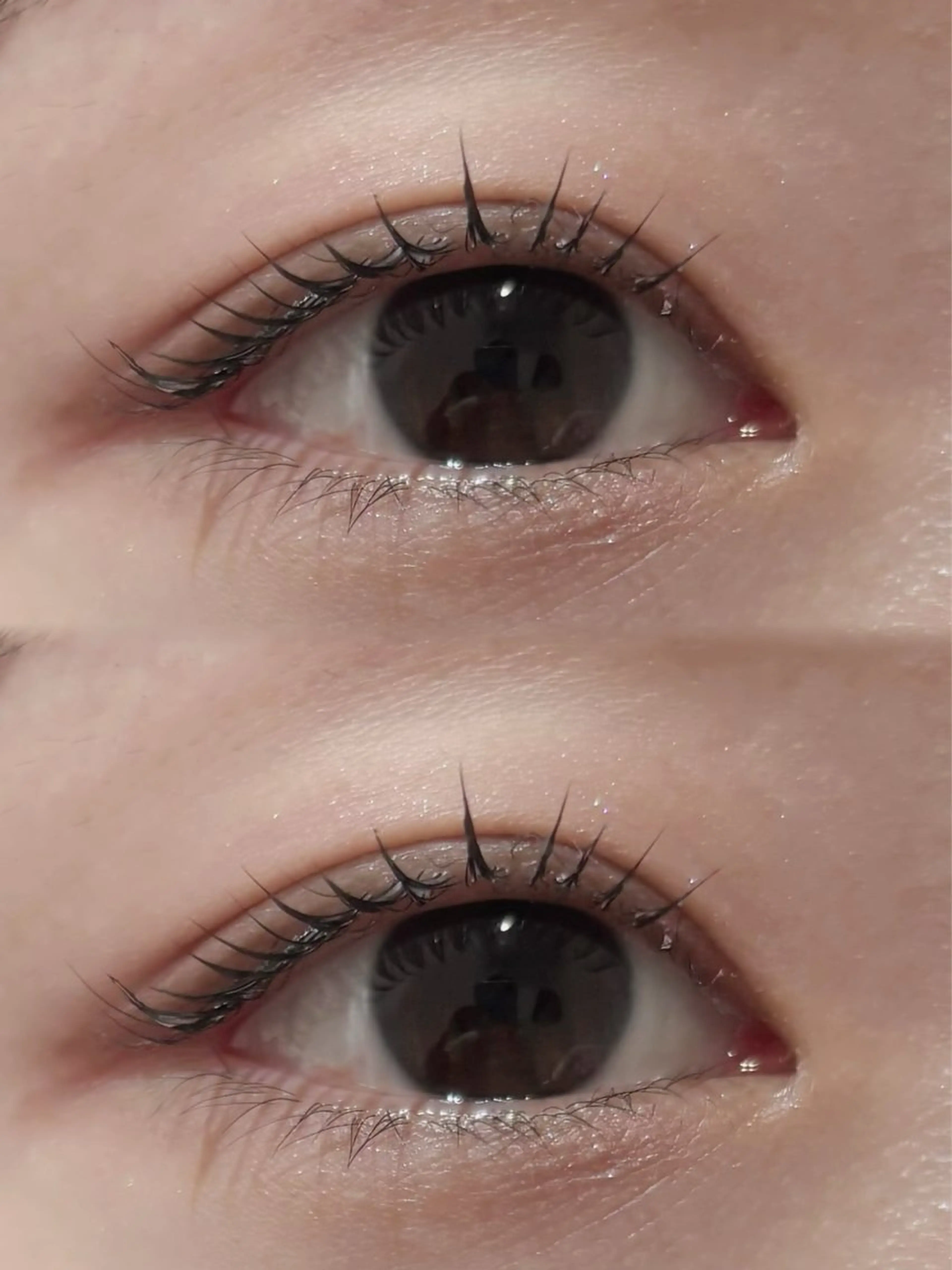 🎀無料まつ毛パーマの写真