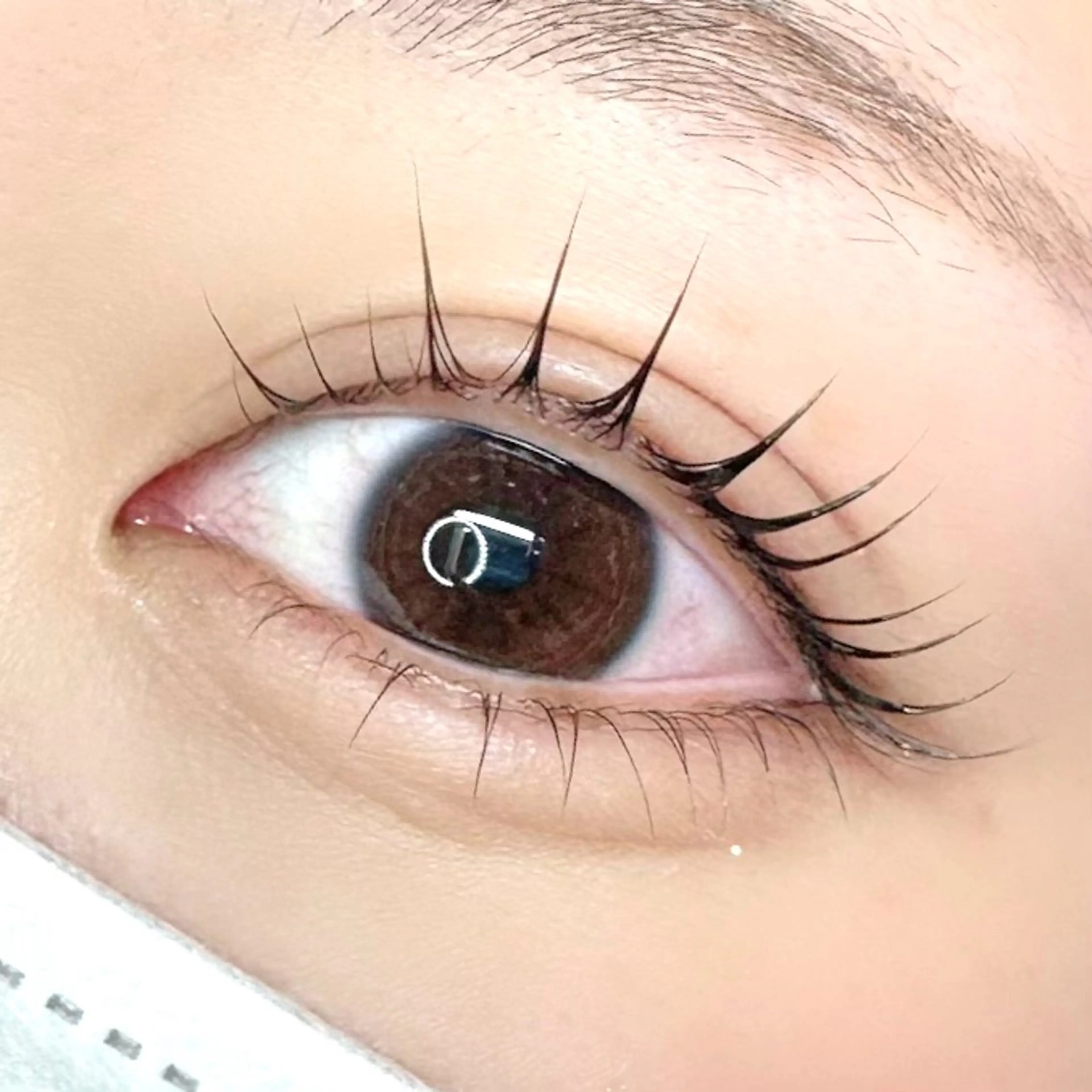 マツエク・マツパ ella eyelashのマツエク・マツパデザイン