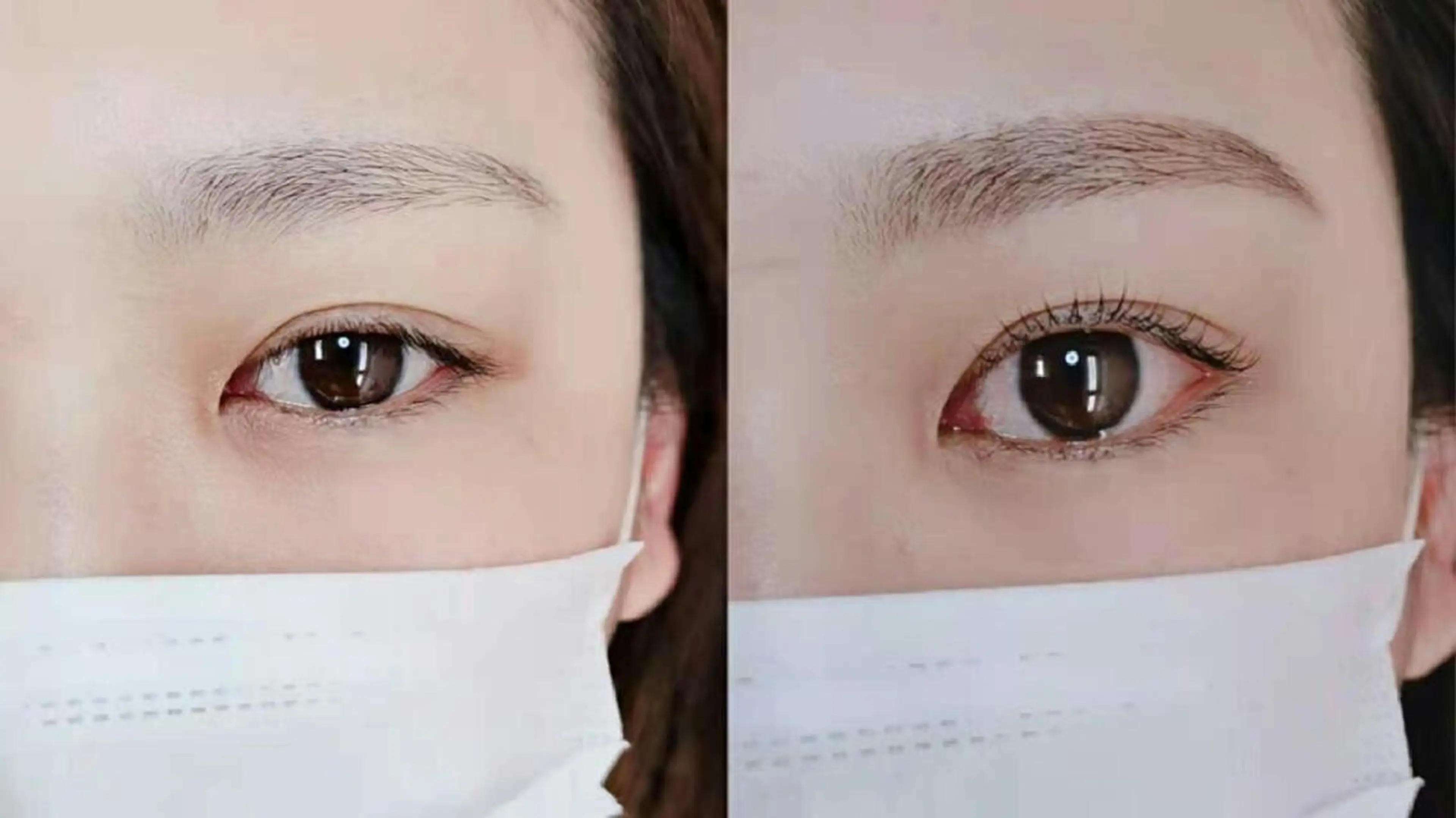 マツエク・マツパ まつげパーマ 胡蝶蘭レディースサロ ン眉マツパエクステの眉毛・アイブロウイメージ