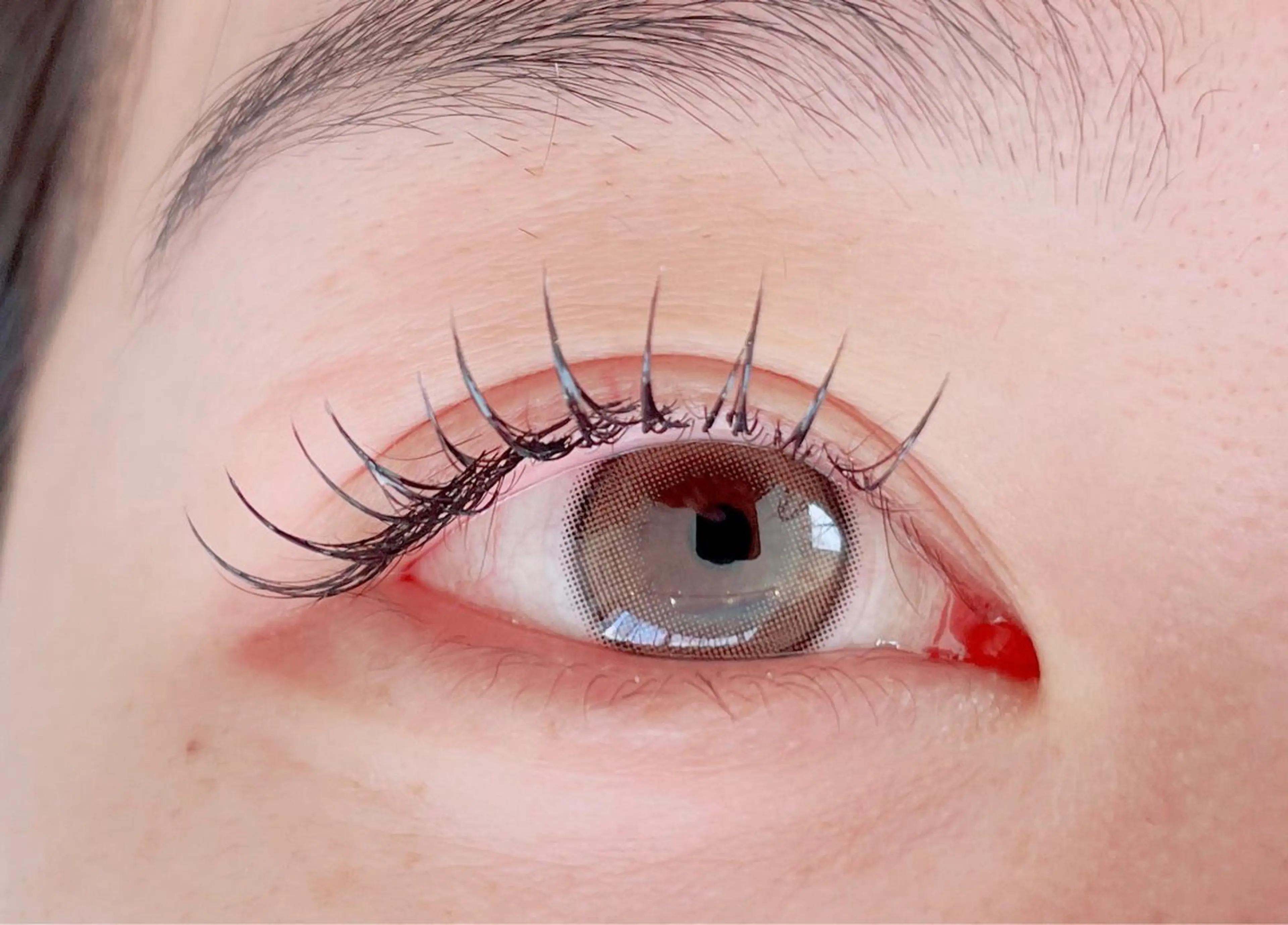 マツエク・マツパ マツエク eyan _kco 西宮/甲子園口のマツエク・マツパデザイン