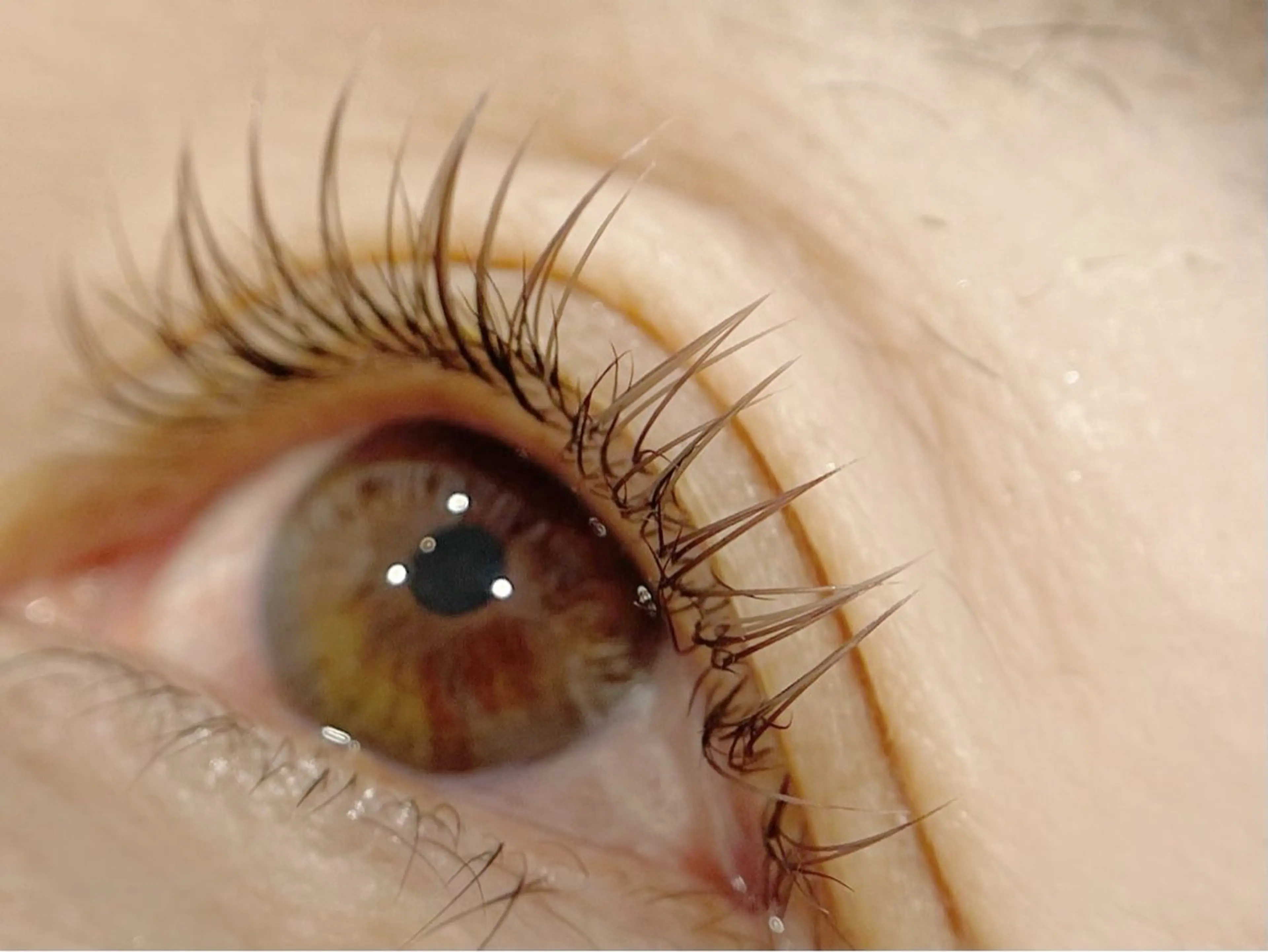 マツエク・マツパ マツエク Mei🌼 Epillのマツエク・マツパデザイン