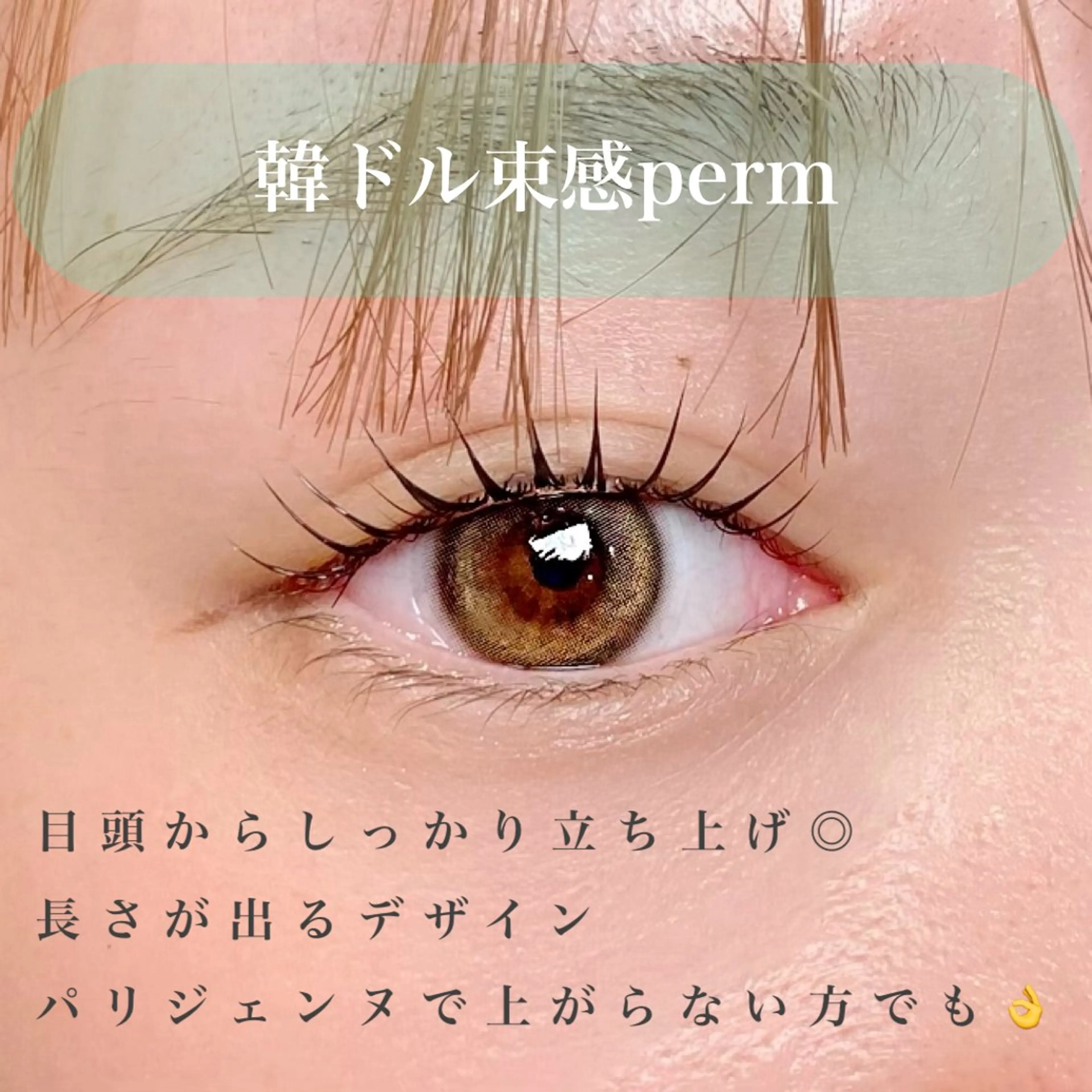 マツエク・マツパ マツパ 束感パリジェンヌ上下 恵比寿ayakaのマツエク・マツパデザイン