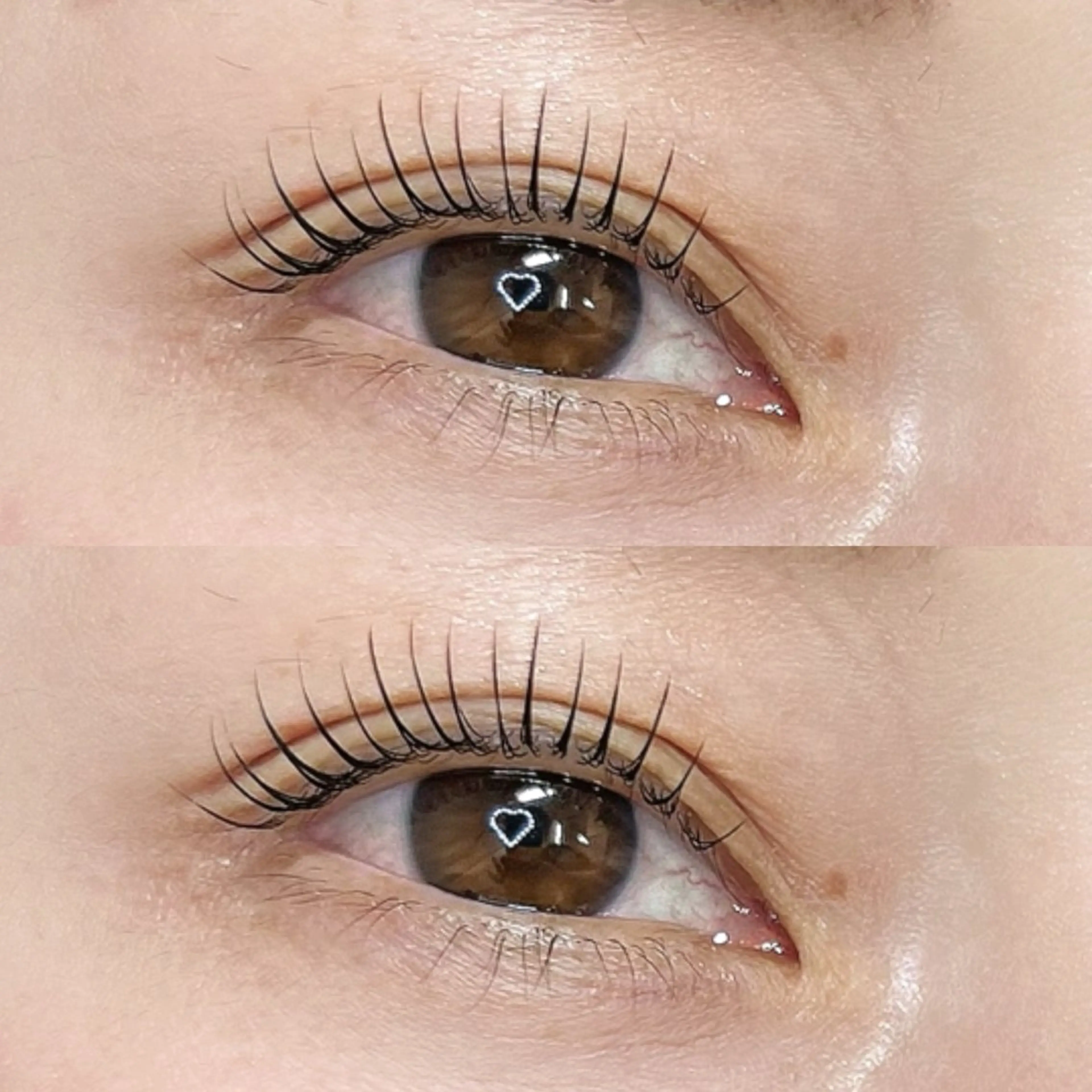 マツエク・マツパ マツパ SHIORI 🐈⸒⸒⸒⸒のマツエク・マツパデザイン