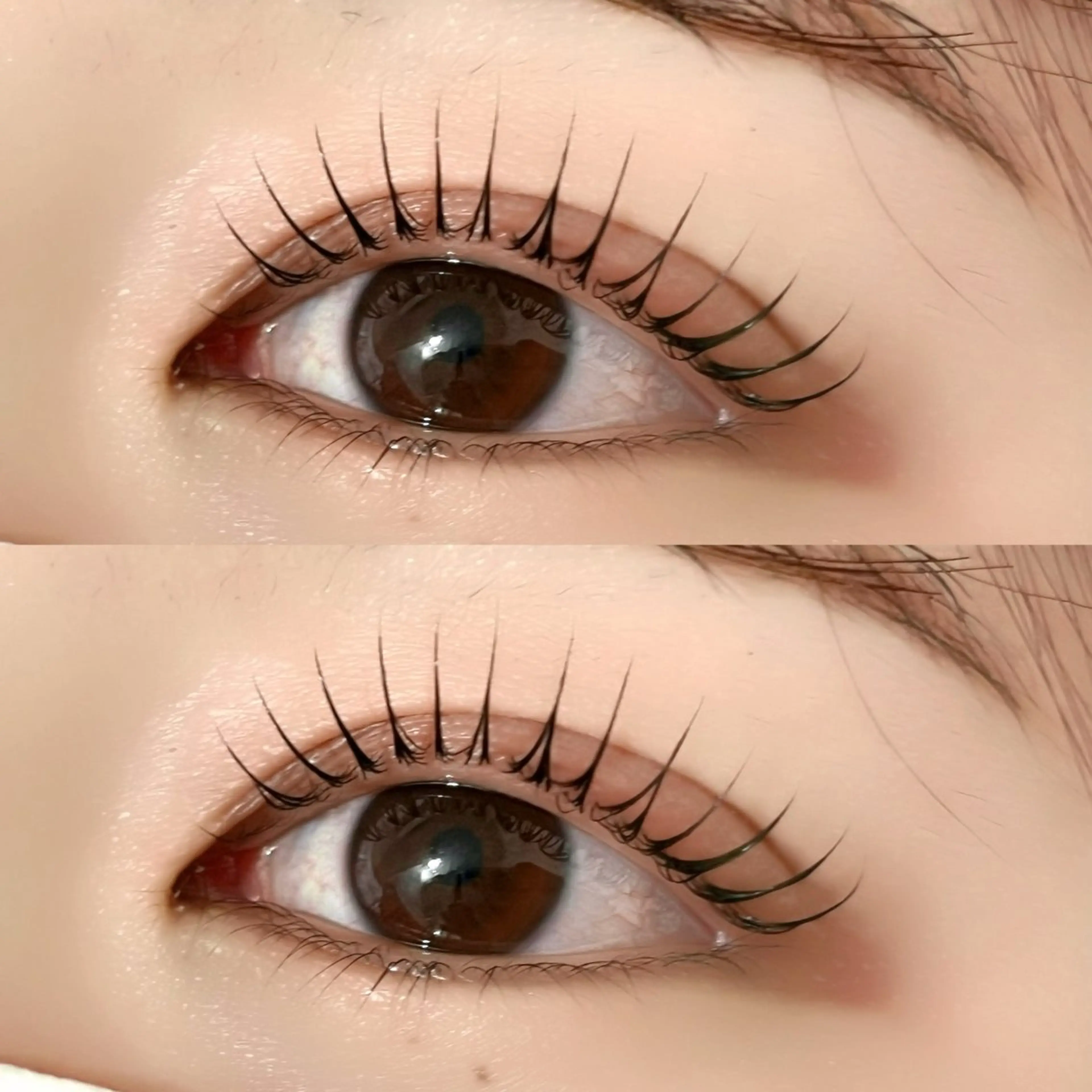 🫧コーティング仕上げ ラッシュリフト（ まつげパーマ ）🫧の写真
