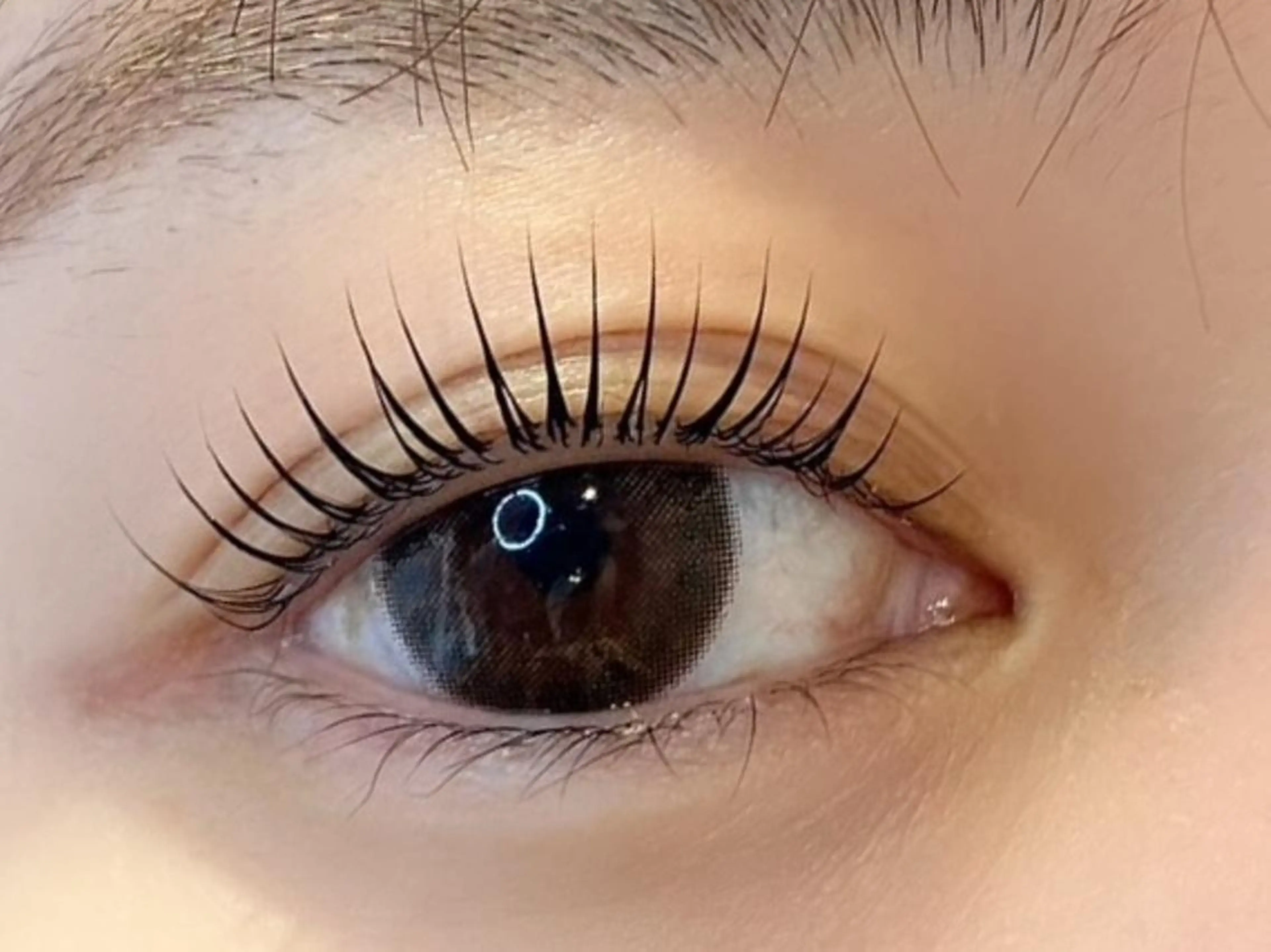 選べるまつげパーマor自まつ毛の長さ最大限★パリジェンヌラッシュリフトの写真