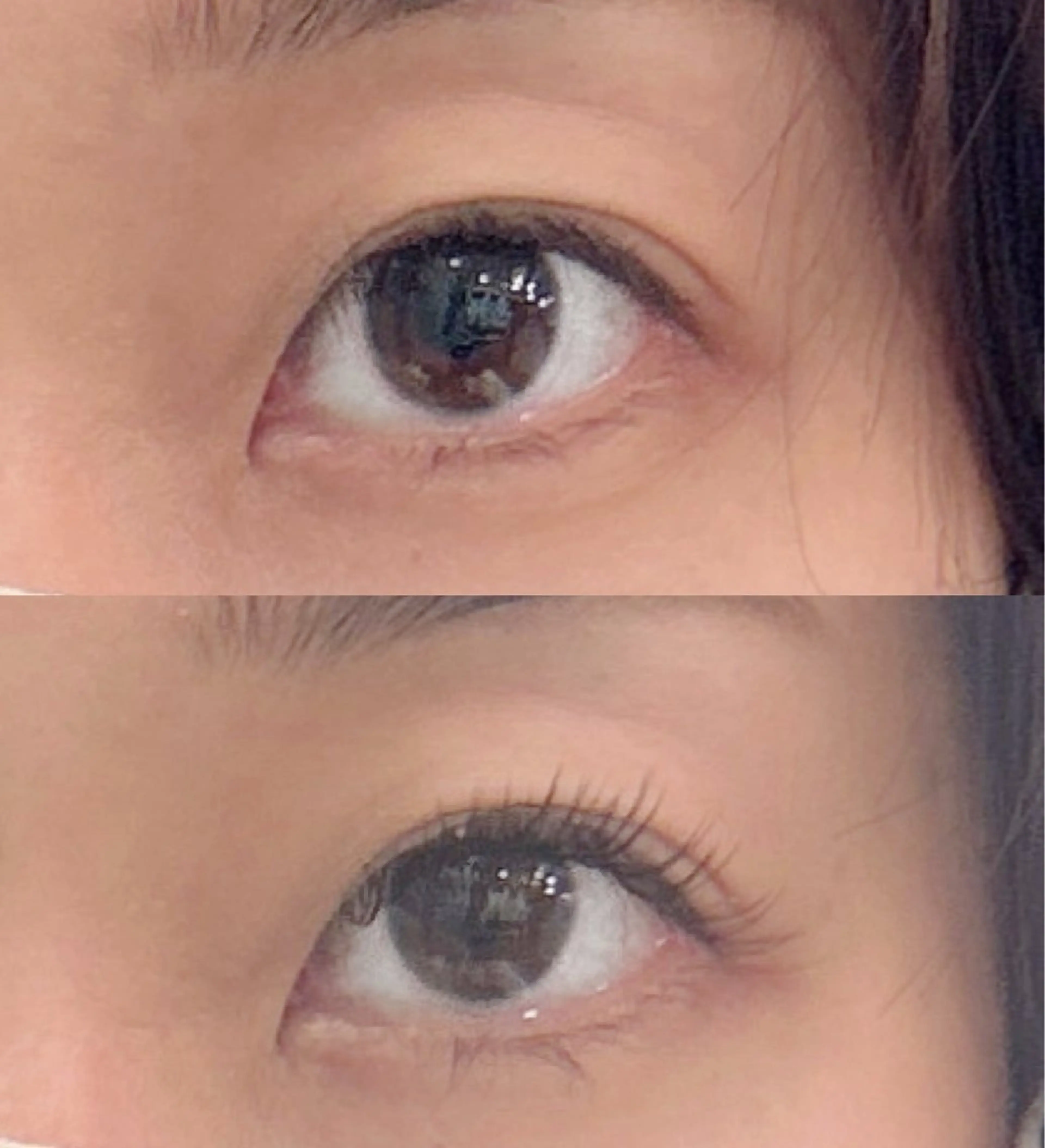 マツエク・マツパ マツエク eyelash Alaiaのマツエク・マツパデザイン