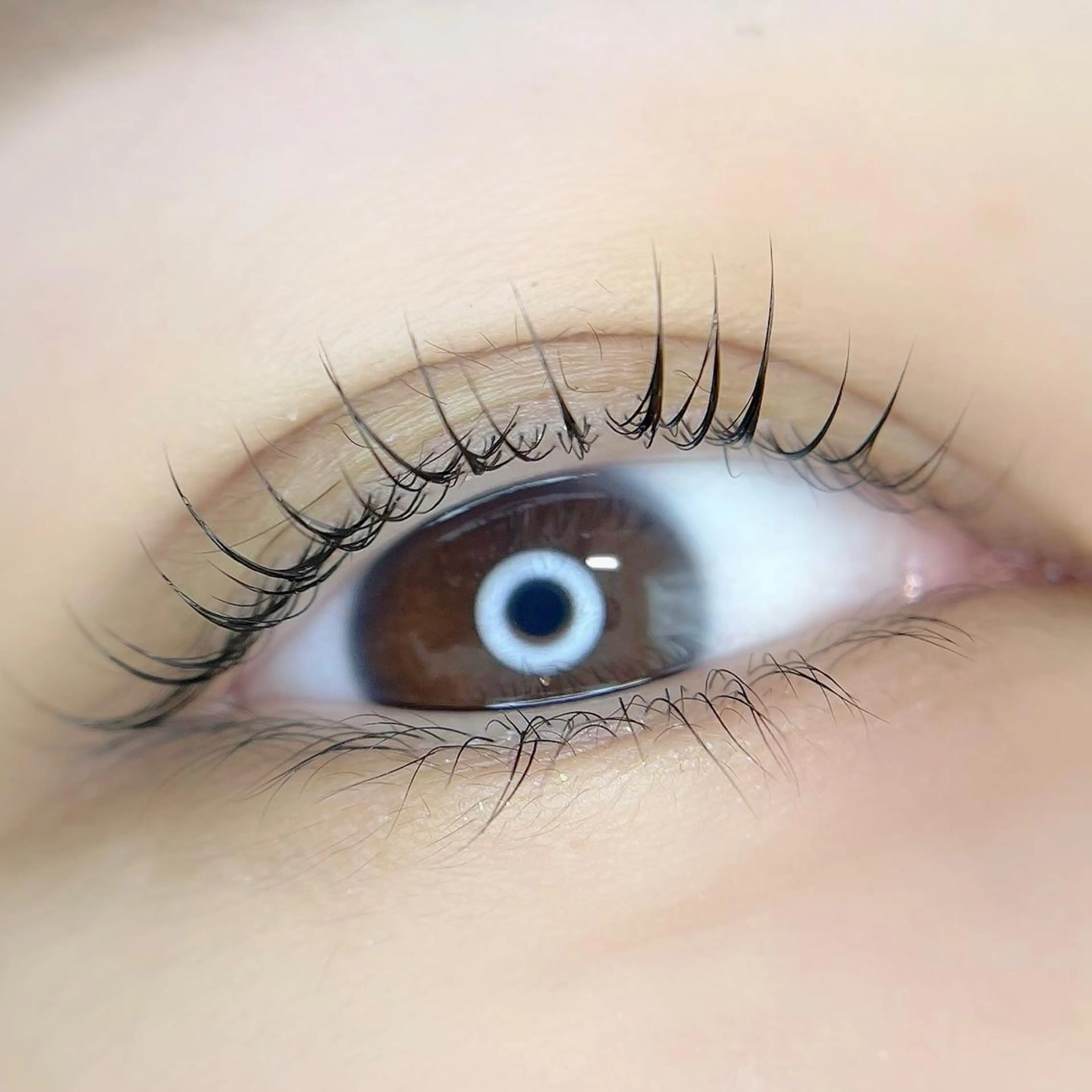 マツエク・マツパ Cカール マツパ 🤍南流山MaaZ staff1⃣🤍のマツエク・マツパデザイン