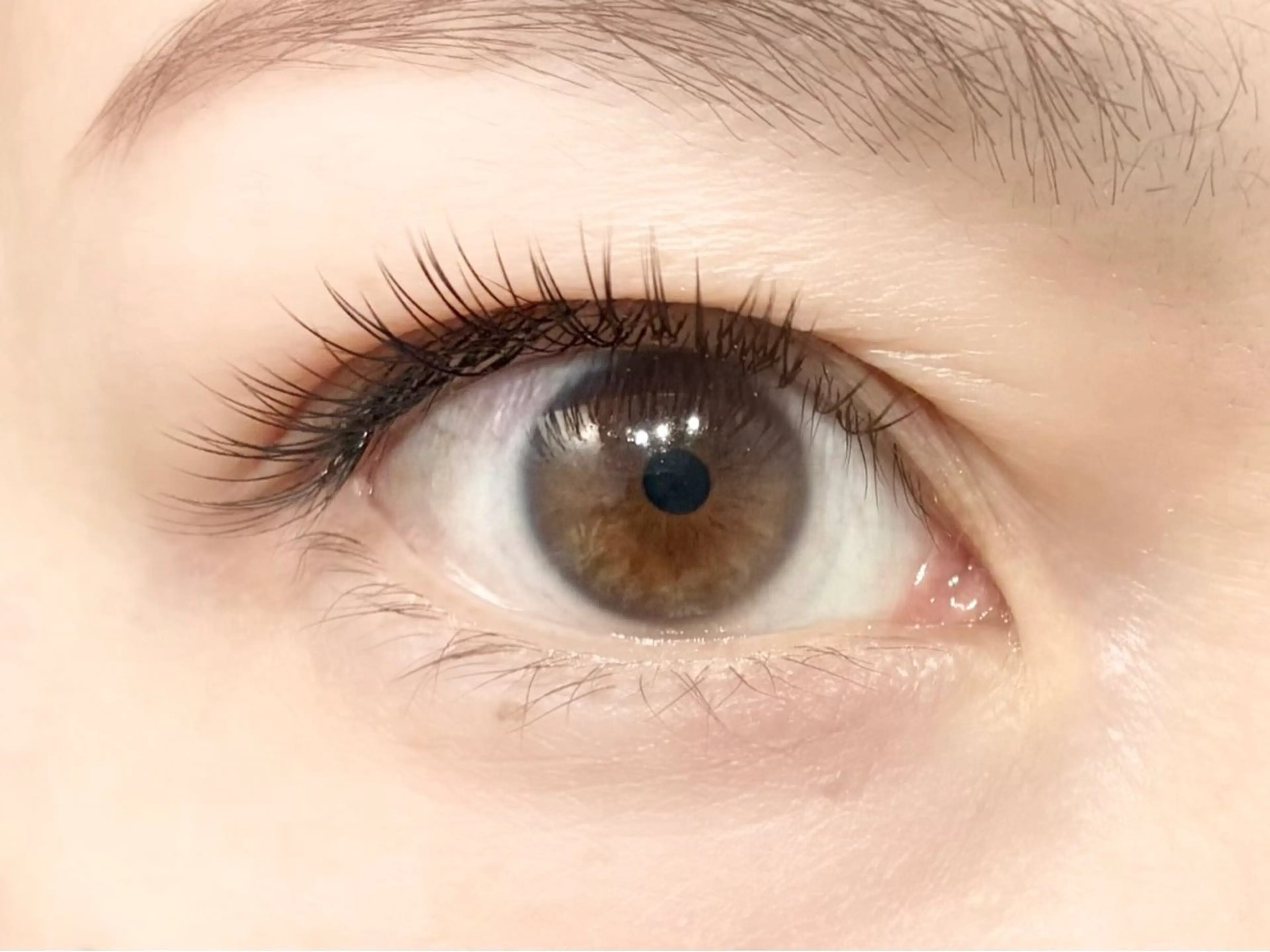 マツエク・マツパ ナチュラル マツエク 中村彩香 (エフドゥ)のマツエク・マツパデザイン