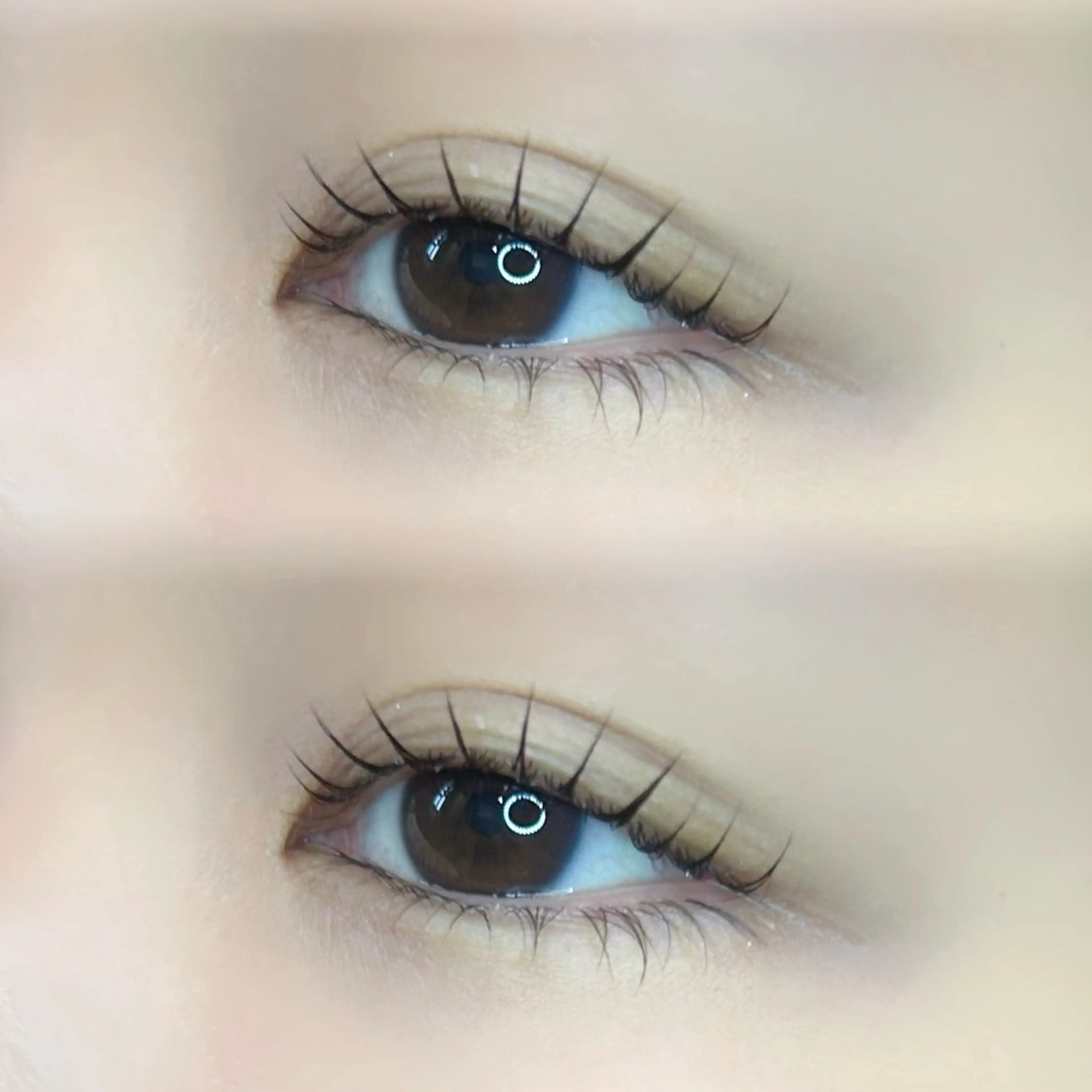 マツエク・マツパ 束感まつ毛 パリジェンヌラッシュリフト 🍀fein. sakura🍀の眉毛・アイブロウイメージ