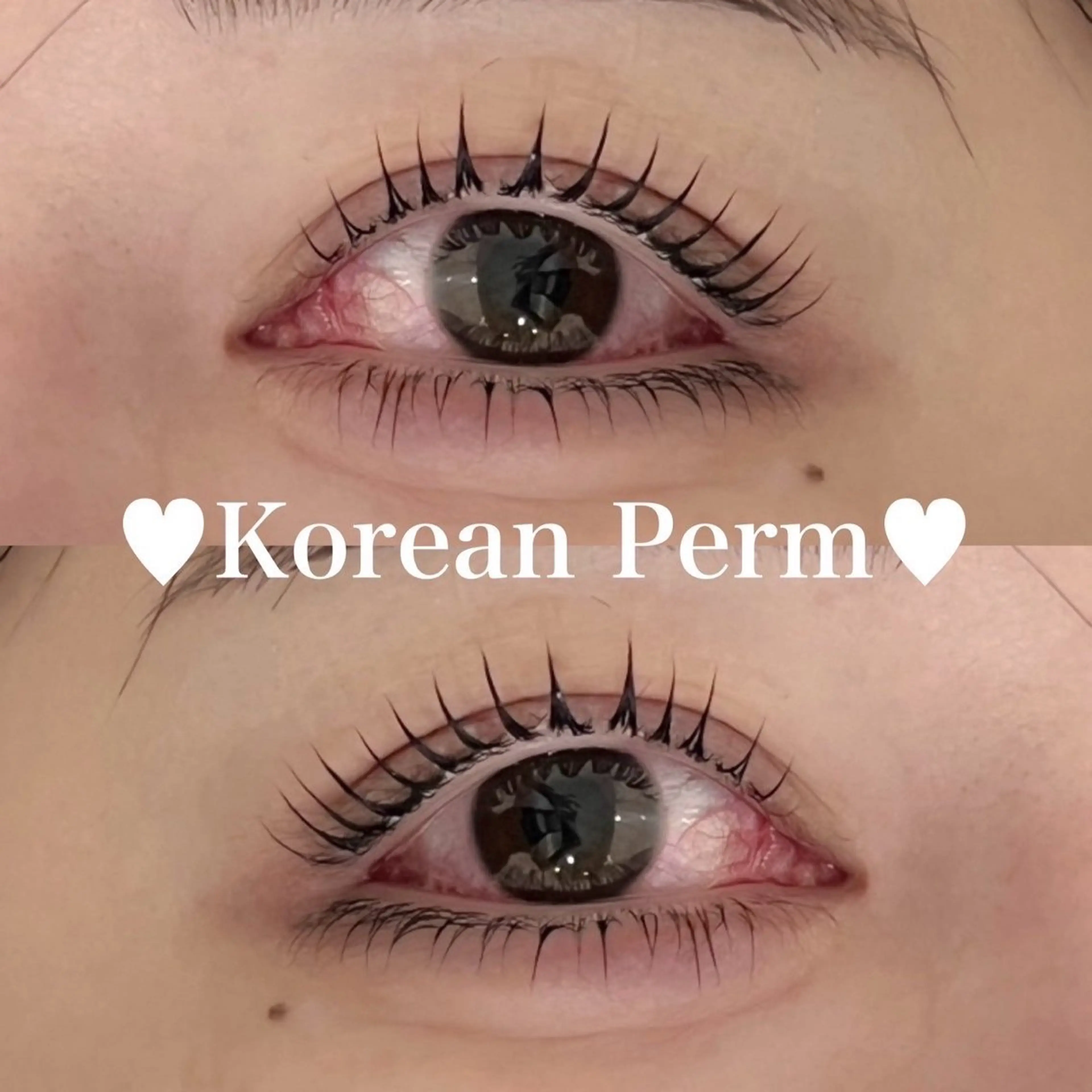 🌷🌸【SNSで話題】💜✨️韓国風パーマ+美容液option付❕💜の写真