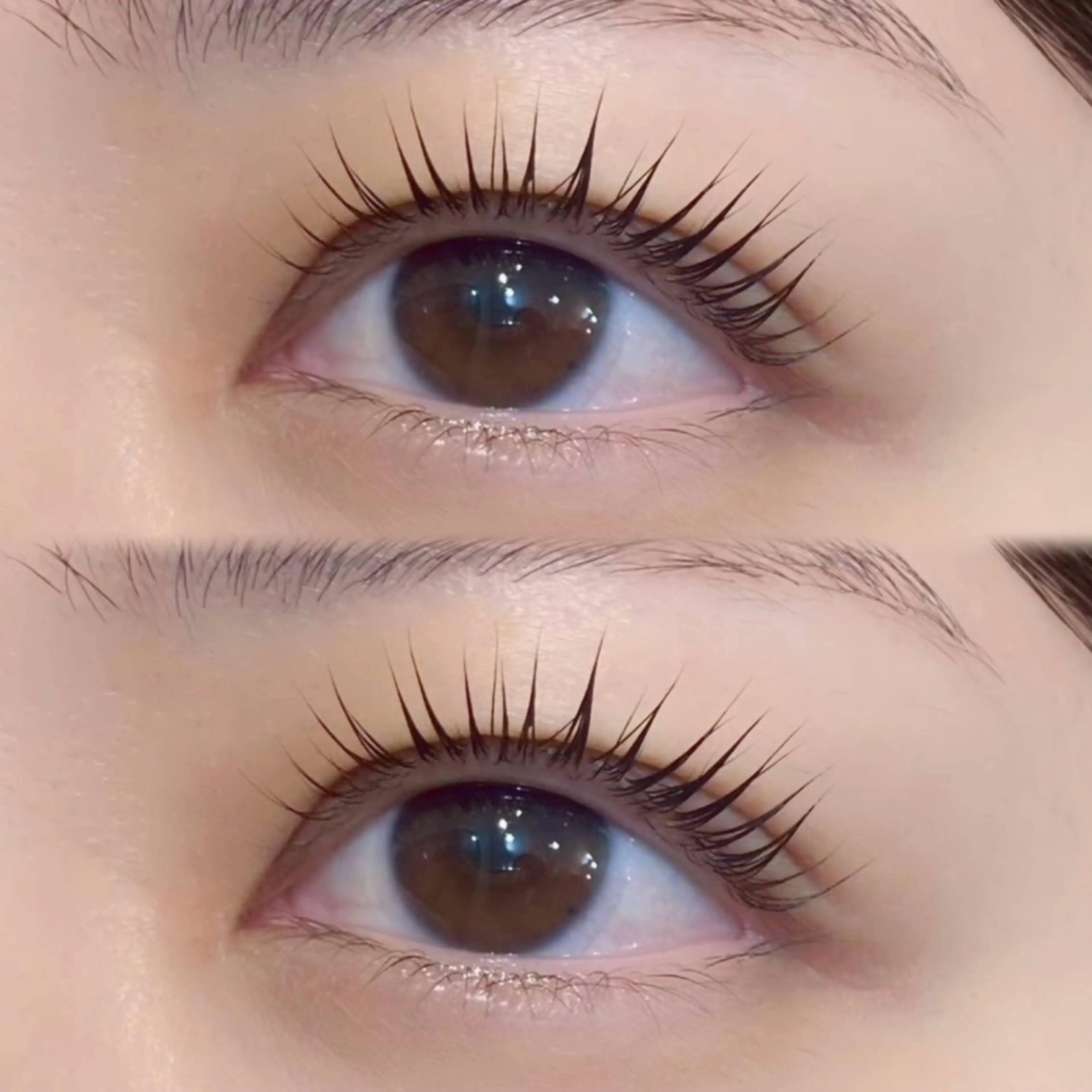 マツエク・マツパ マツパ Loco❤︎ 布施の眉毛・アイブロウイメージ