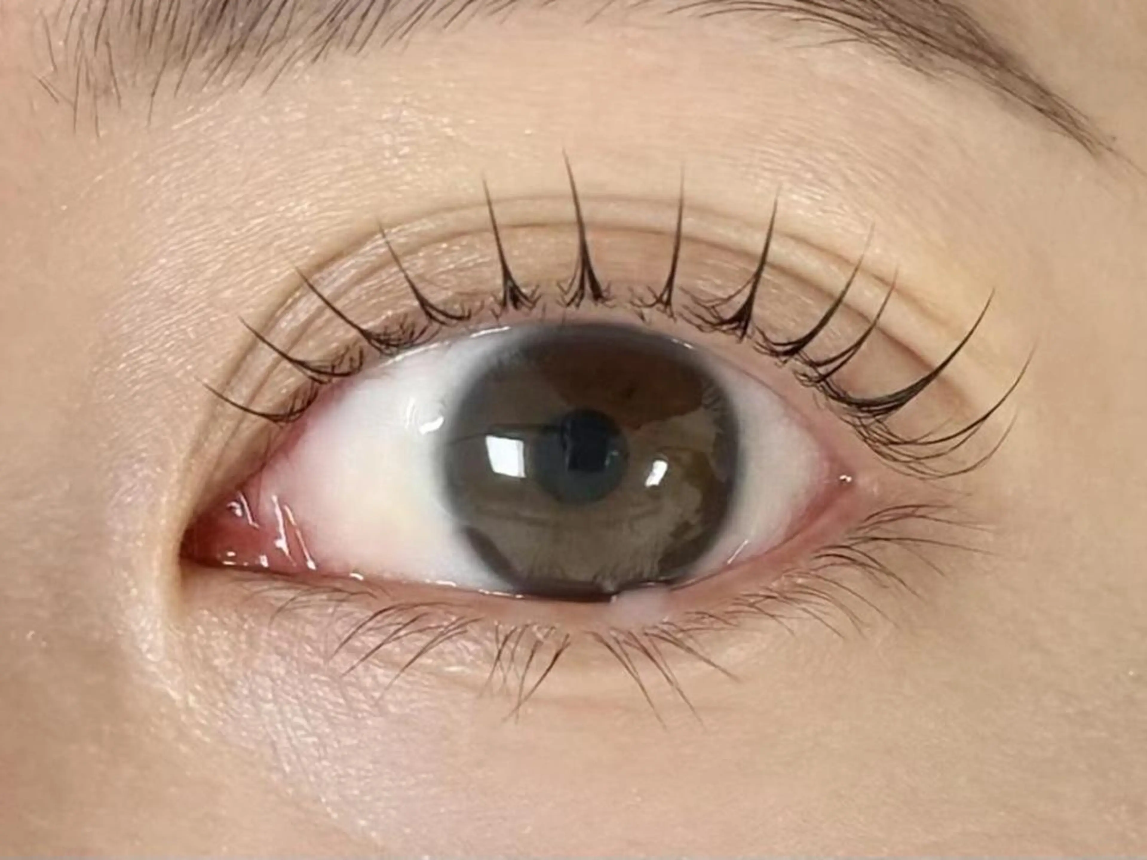 【4/11(土)予約限定】韓国風束感（まつ毛パーマ/ラッシュリフト）＊コーティング付きの写真