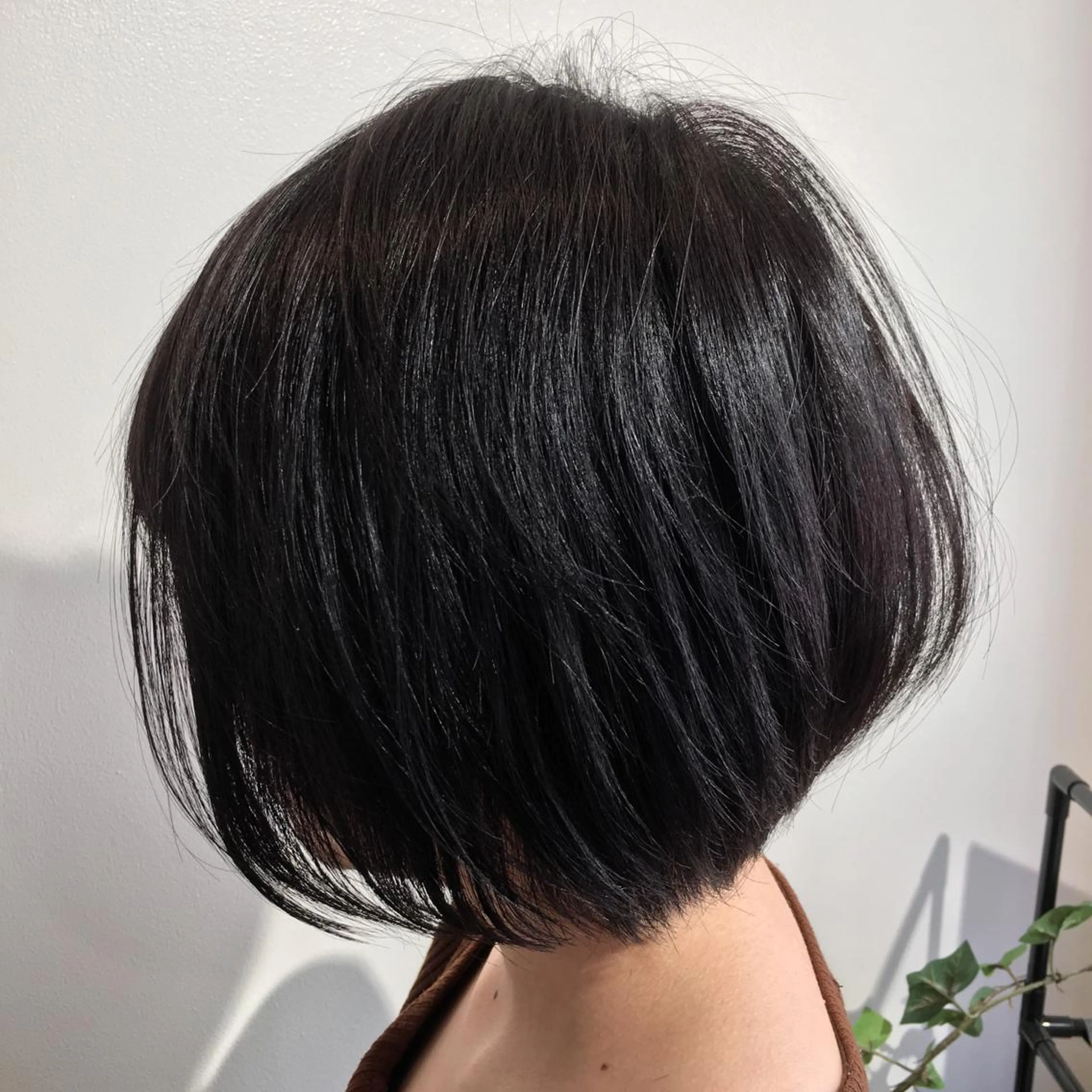 ショート カラー 橋本 慶司のヘアスタイル