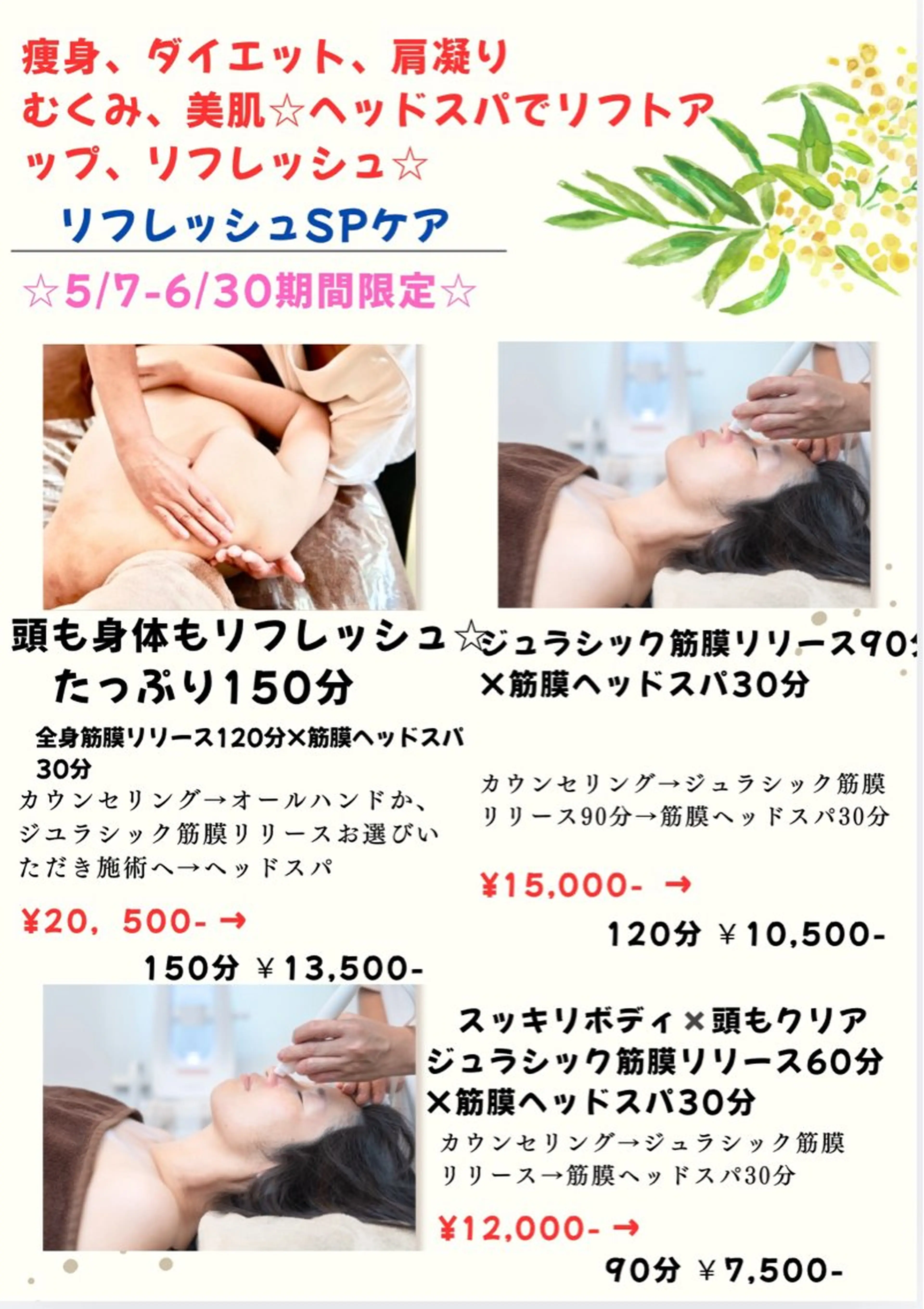 近藤 敦子のその他イメージ