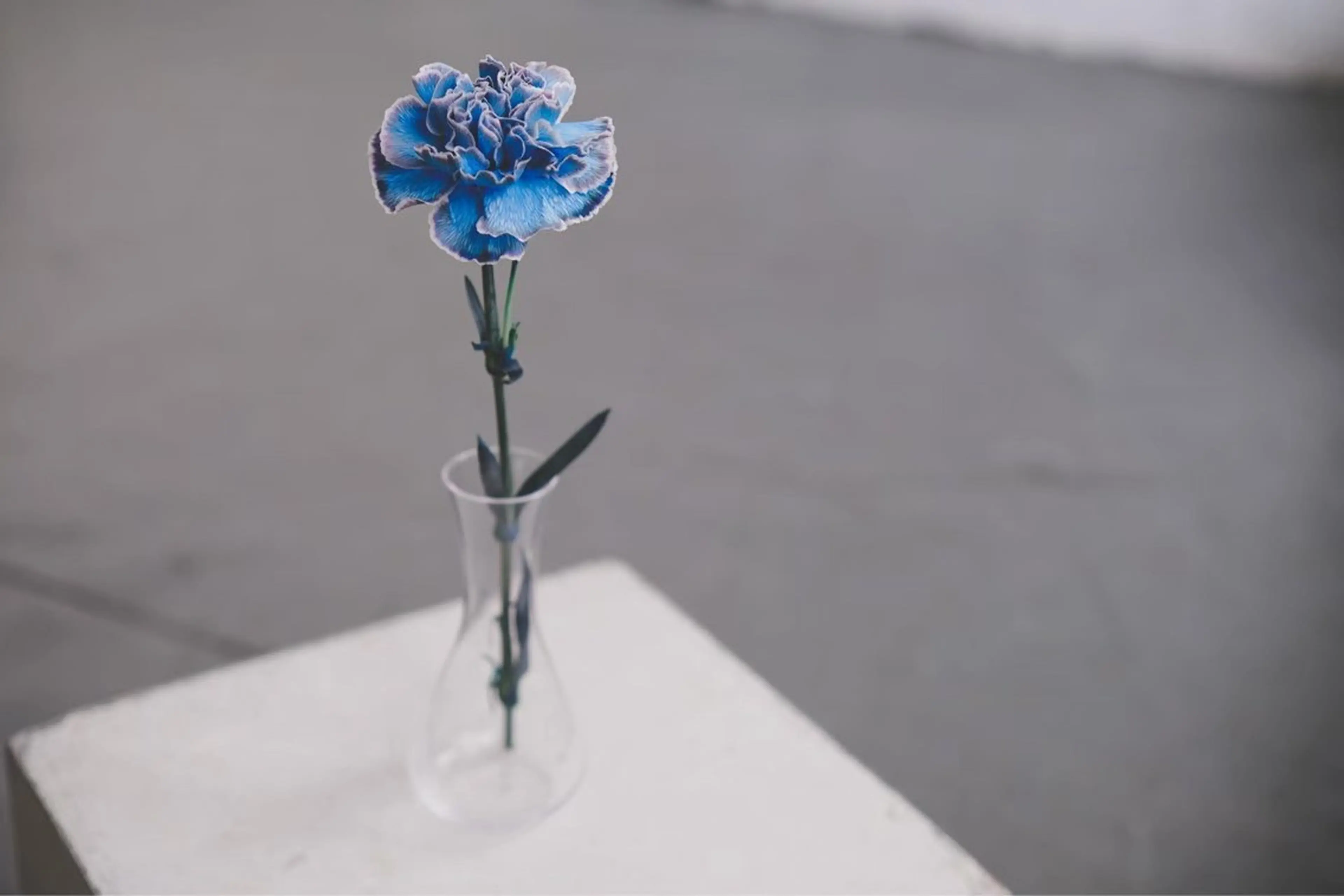 セミロング 渋谷/原宿/メンズ/ コヤマトモヤのヘアスタイル