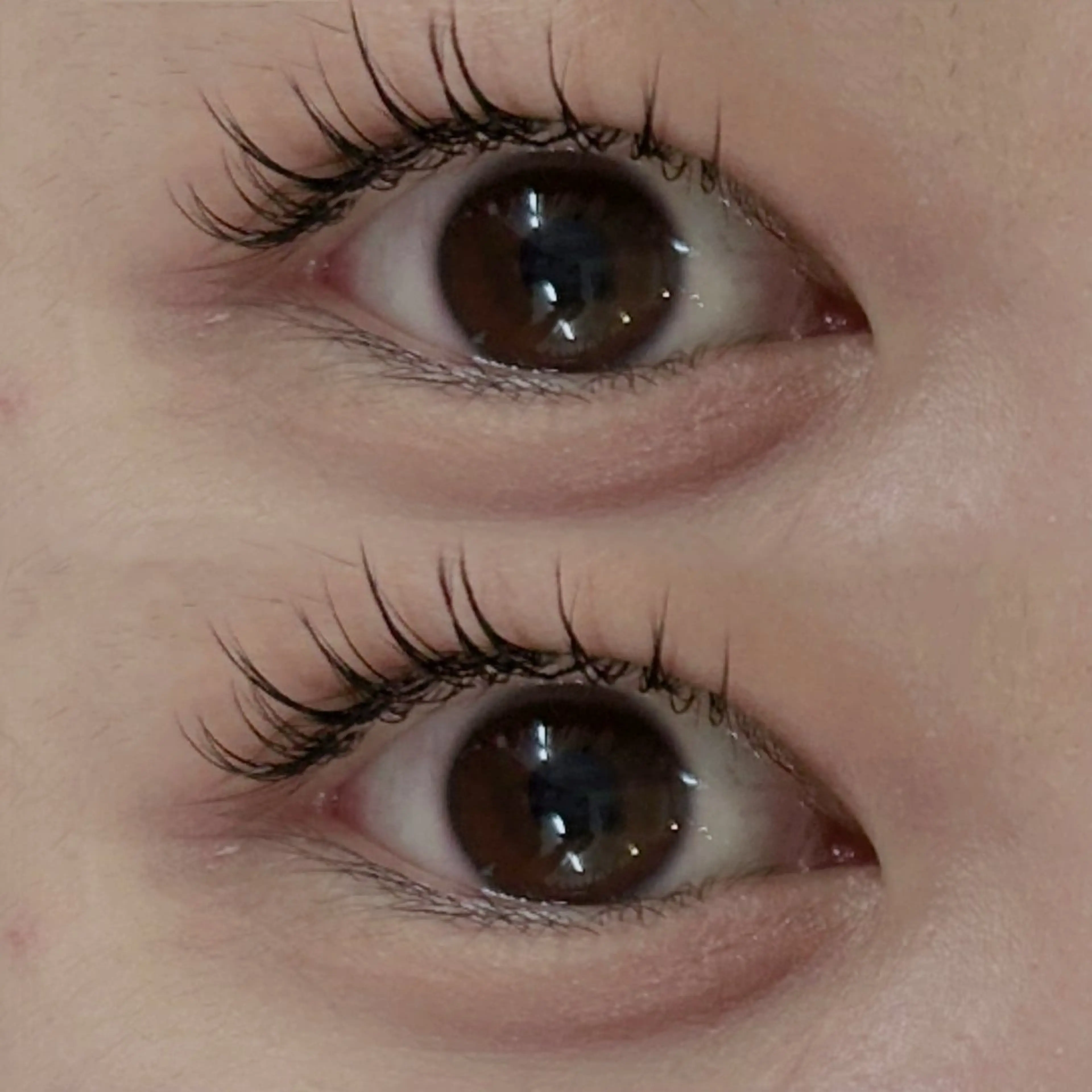 マツエク・マツパ マツエク ‎🤍𝗥𝗜𝗢‎ /京都/マツエクのマツエク・マツパデザイン