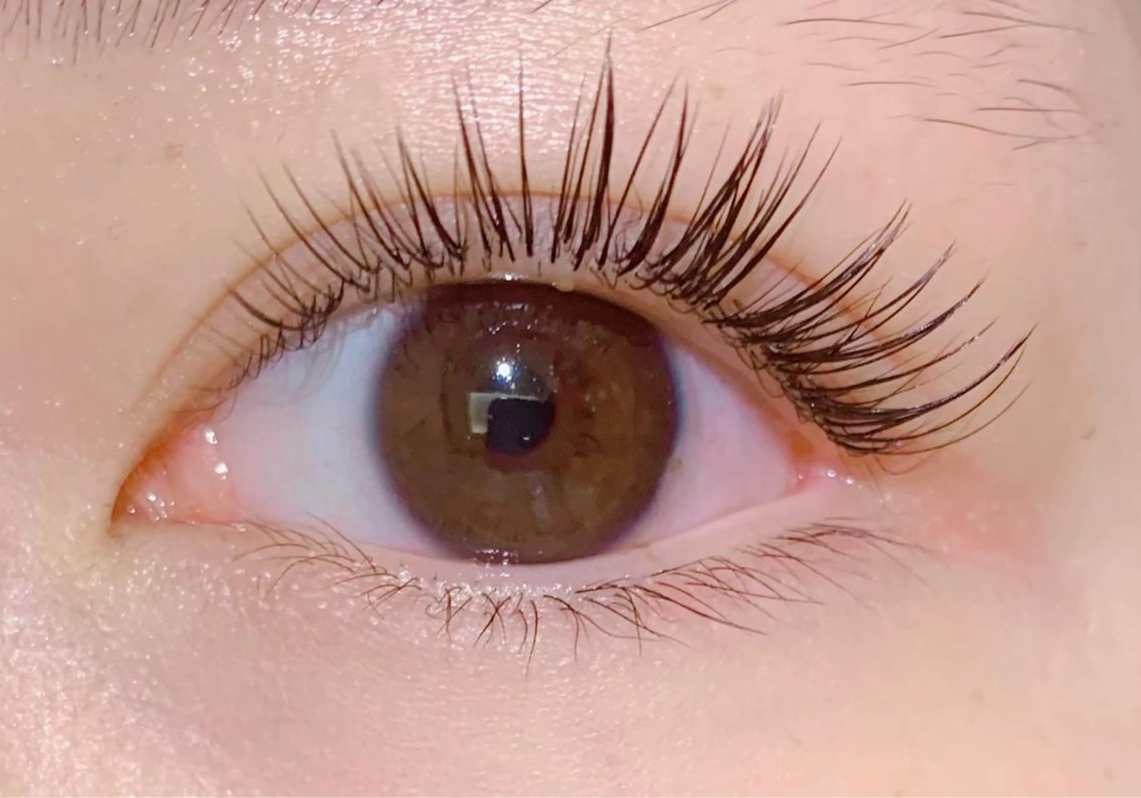 負担軽減🪽フラットラッシュ〜100本まで付け放題コース【LEDグルー+¥1100】の写真