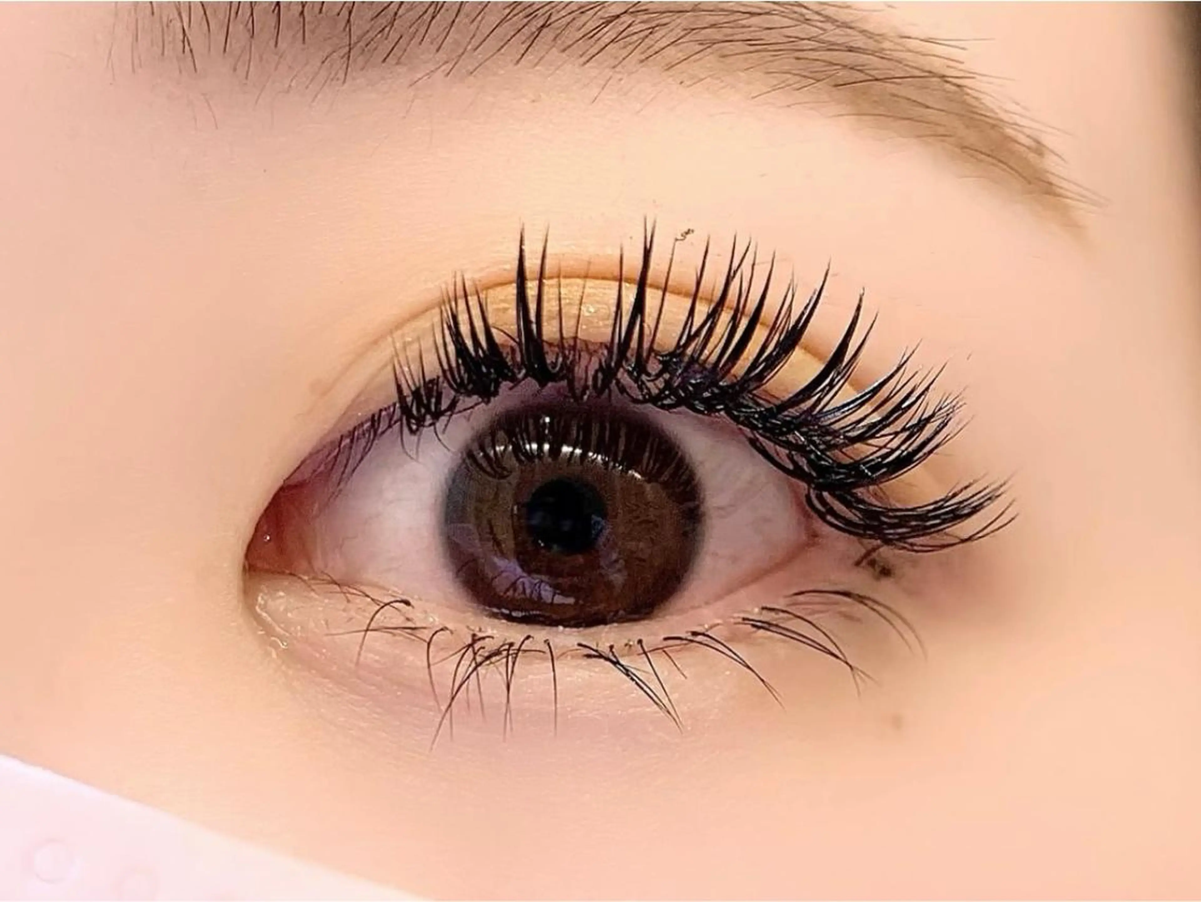 マツエク・マツパ バインドロック 束感まつ毛 Dカール フラットラッシュ ボリュームラッシュ sola: neolive熊田のマツエク・マツパデザイン