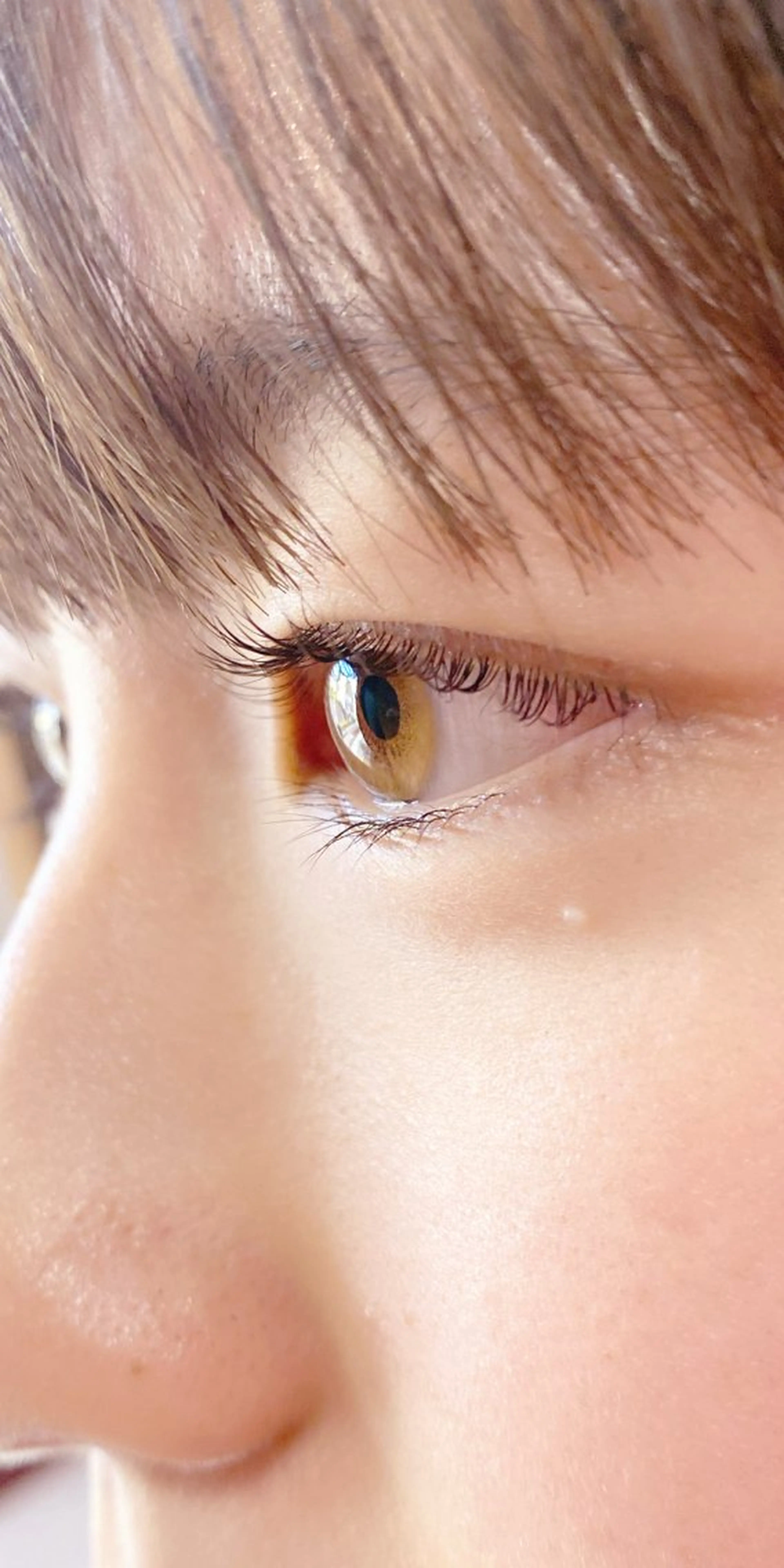 【パリジェンヌ🎀】の写真