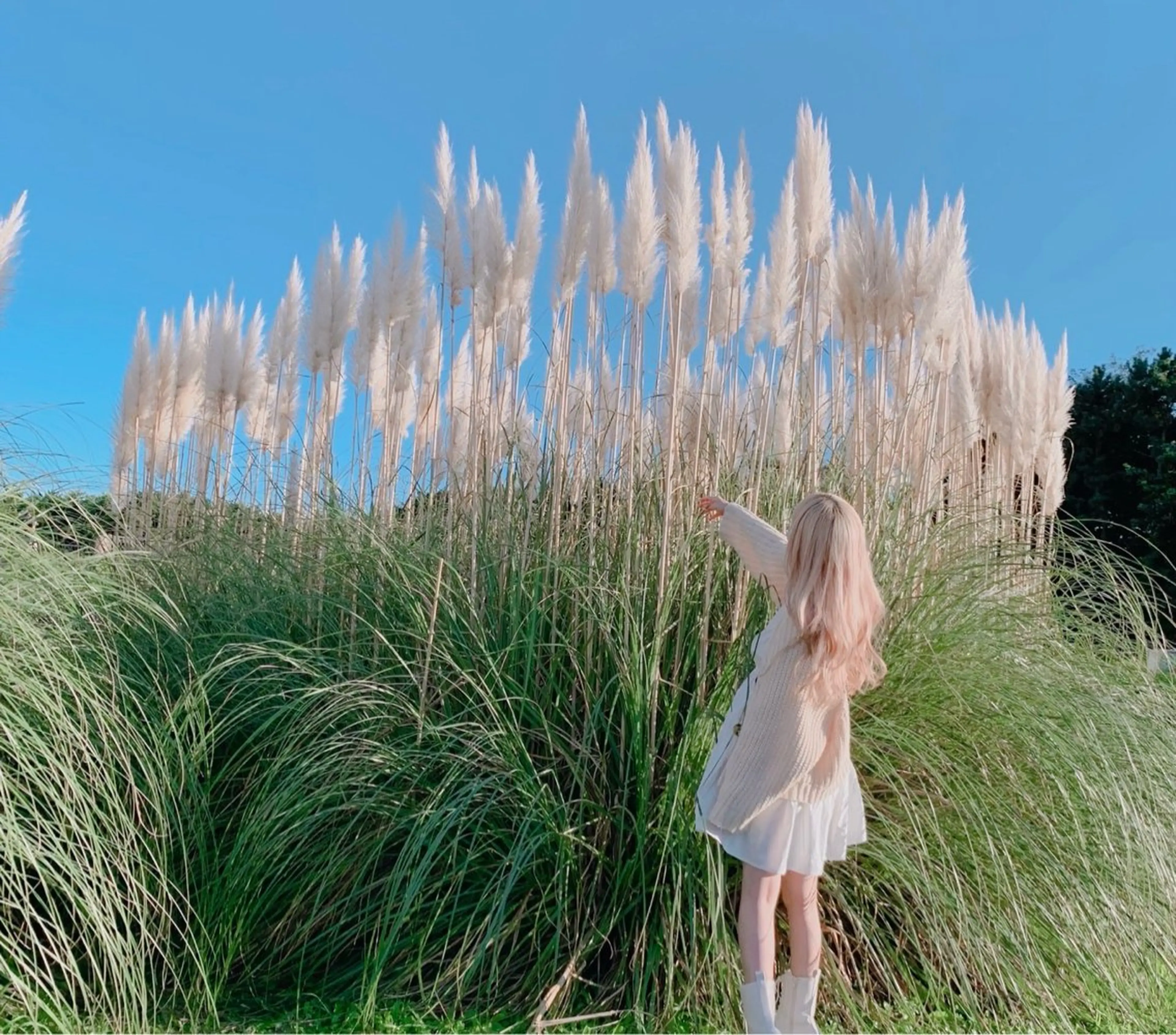 ロング カラー ヘアカラー 🍓ハイトーンカラー 🎀nene🍓のヘアスタイル