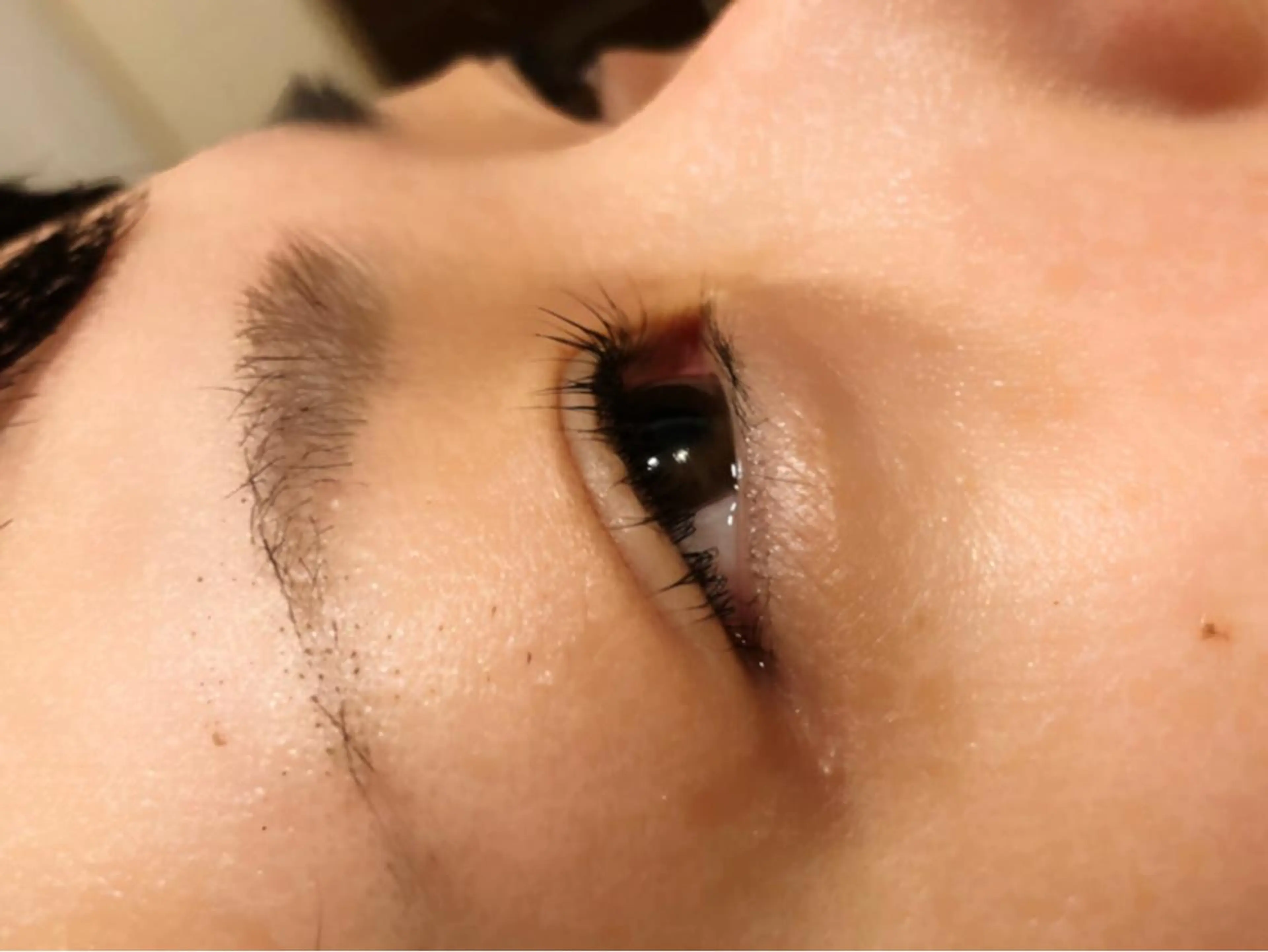 マツエク・マツパ マツパ 🐰 坂本 麗 🐰の眉毛・アイブロウイメージ