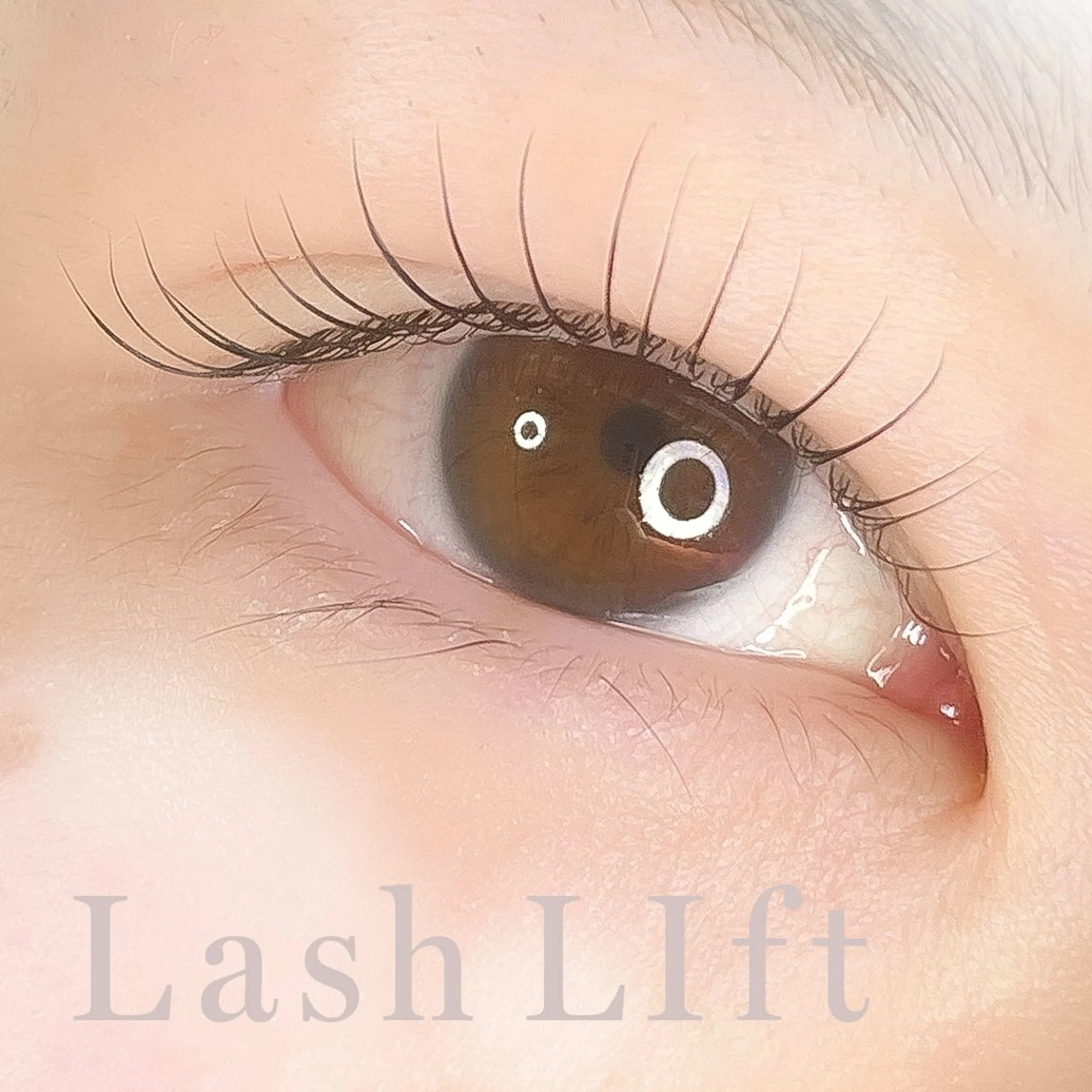 マツエク・マツパ Oliva 佐藤のマツエク・マツパデザイン