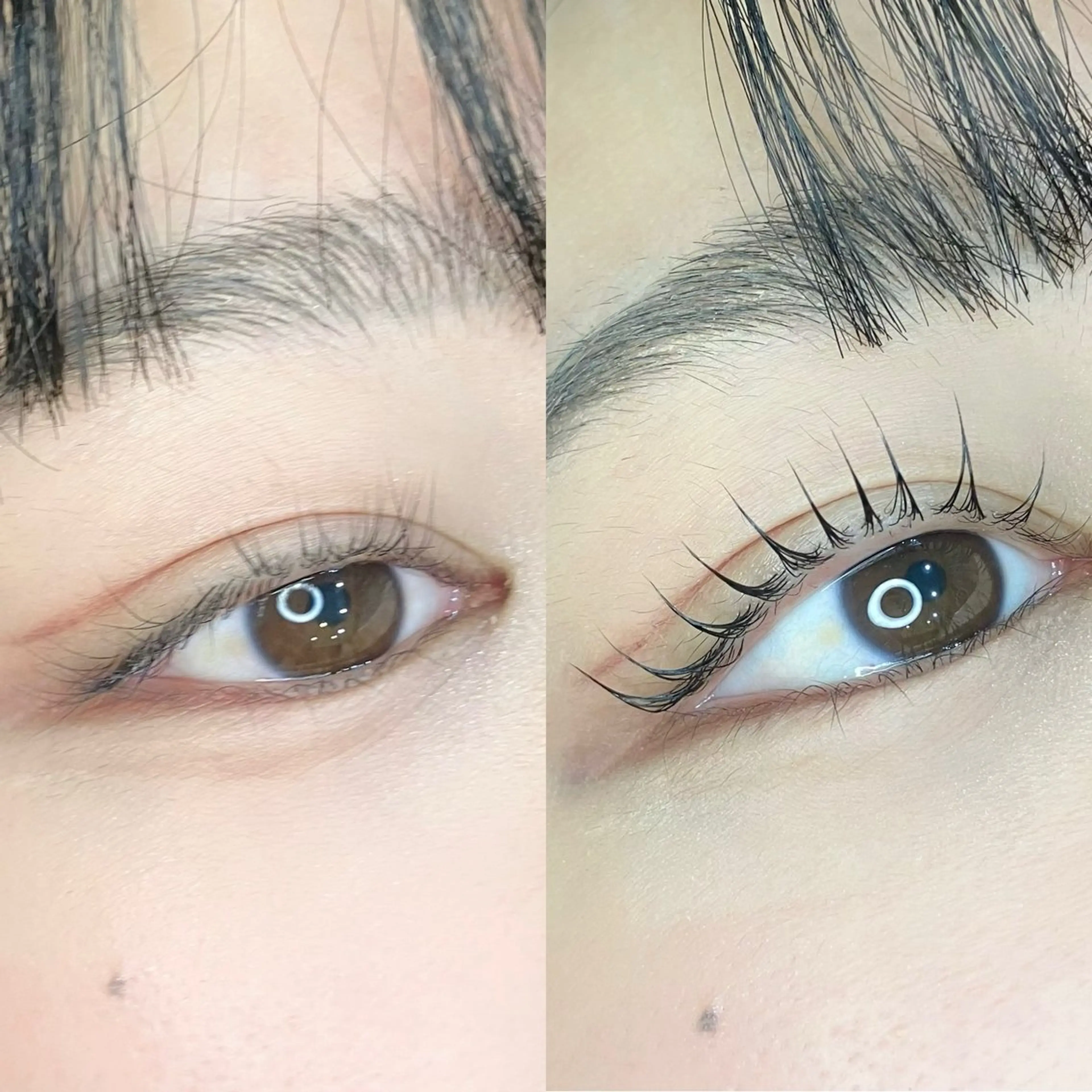 マツエク・マツパ 一重×まつ毛パーマ bunny eyes 有本のマツエク・マツパデザイン