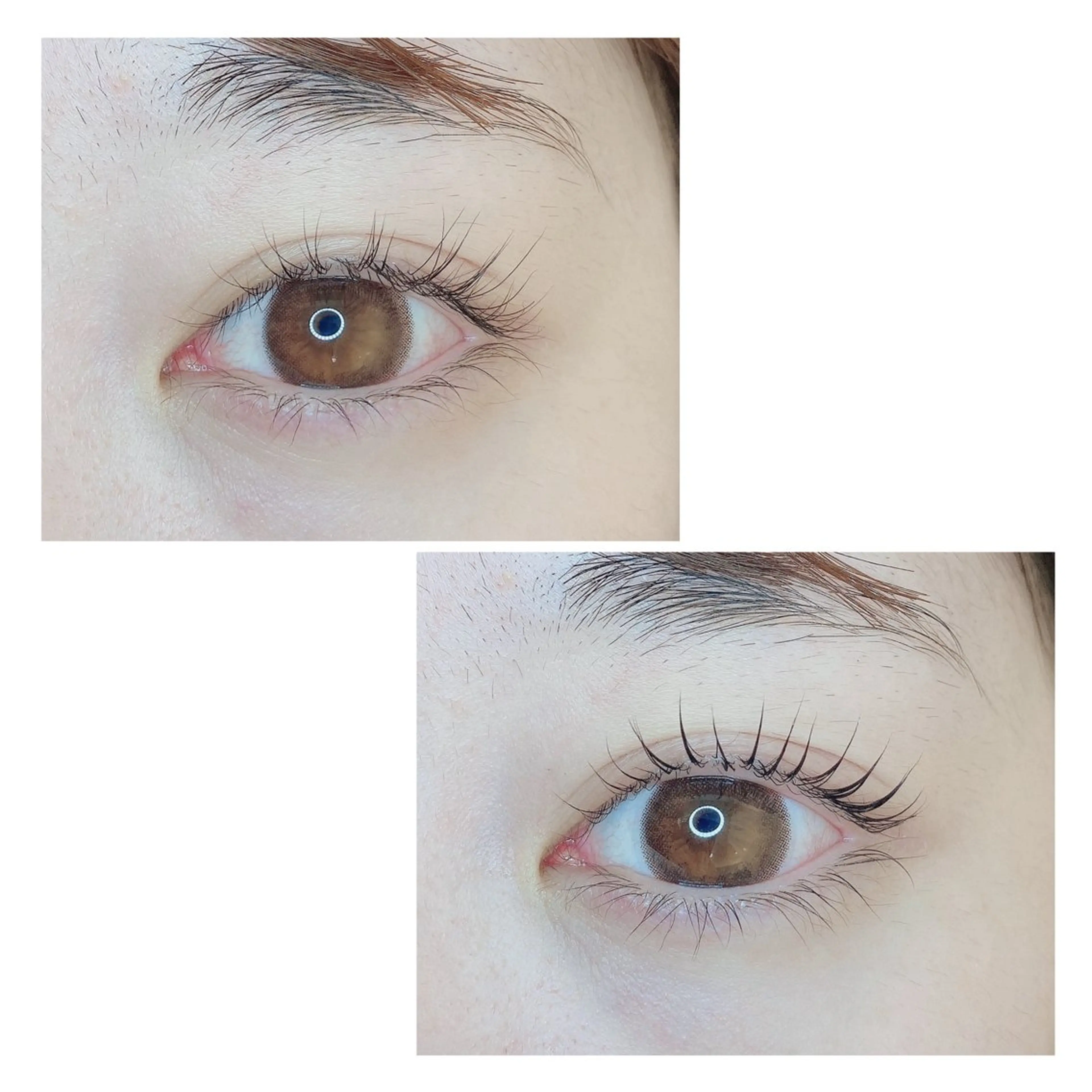 マツエク・マツパ TIARA池袋西口店 店長YASUKA💐のマツエク・マツパデザイン