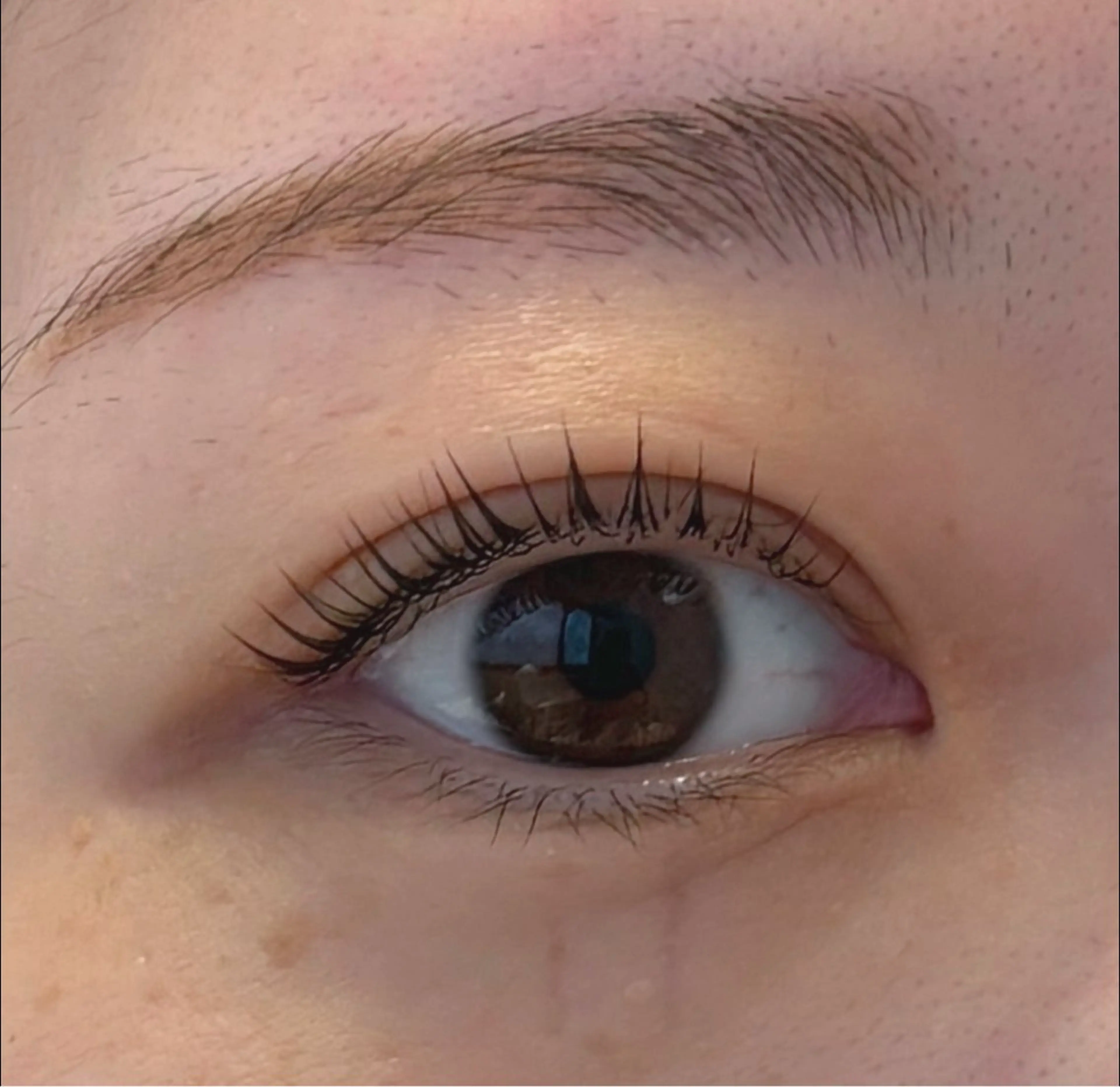 🌸4月限定🫧まつ毛パーマorパリジェンヌ＋アイシャンプー＋ケラチントリートメント🫧再来の方¥5660の写真