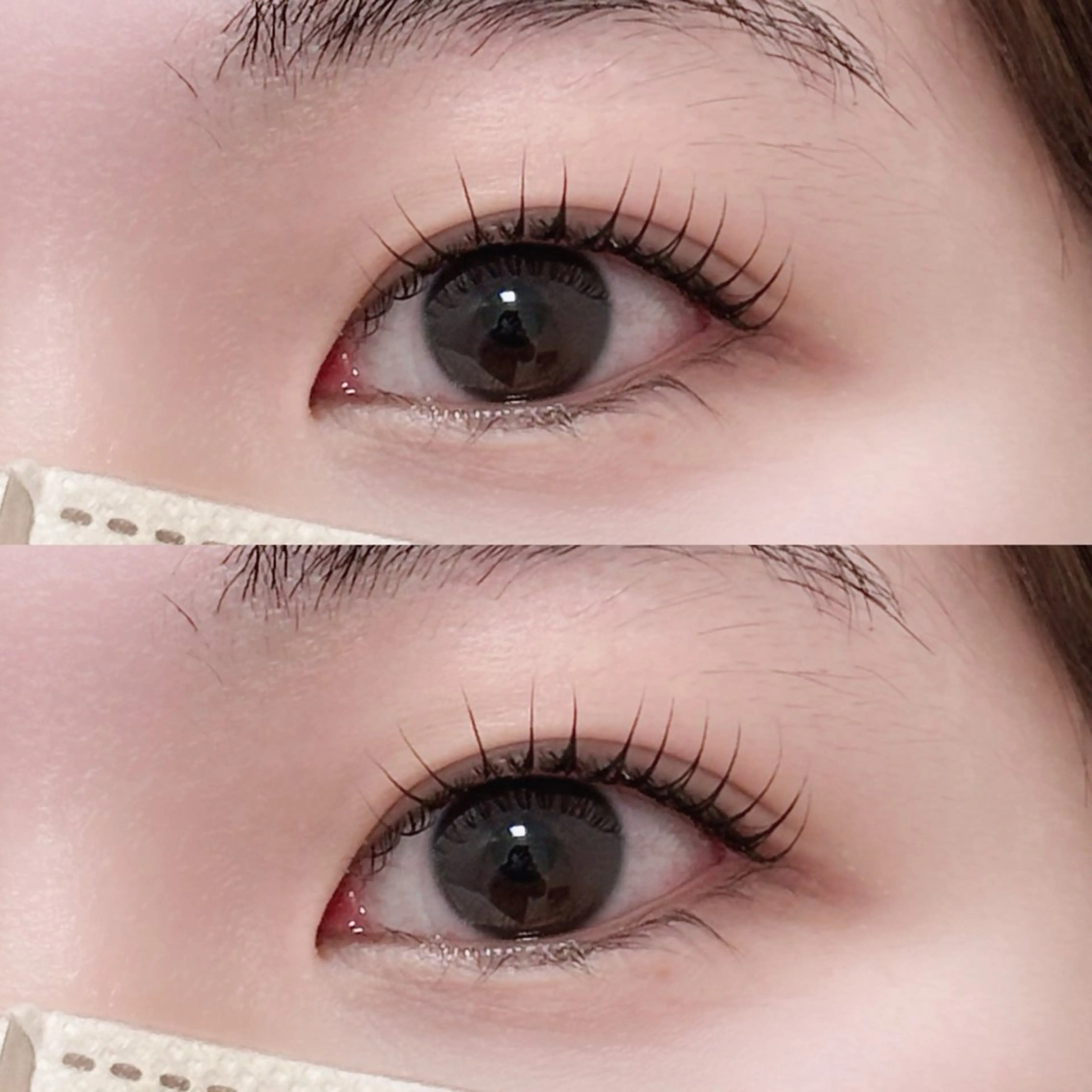 まつ毛パーマ(コーティング仕上げ)の写真