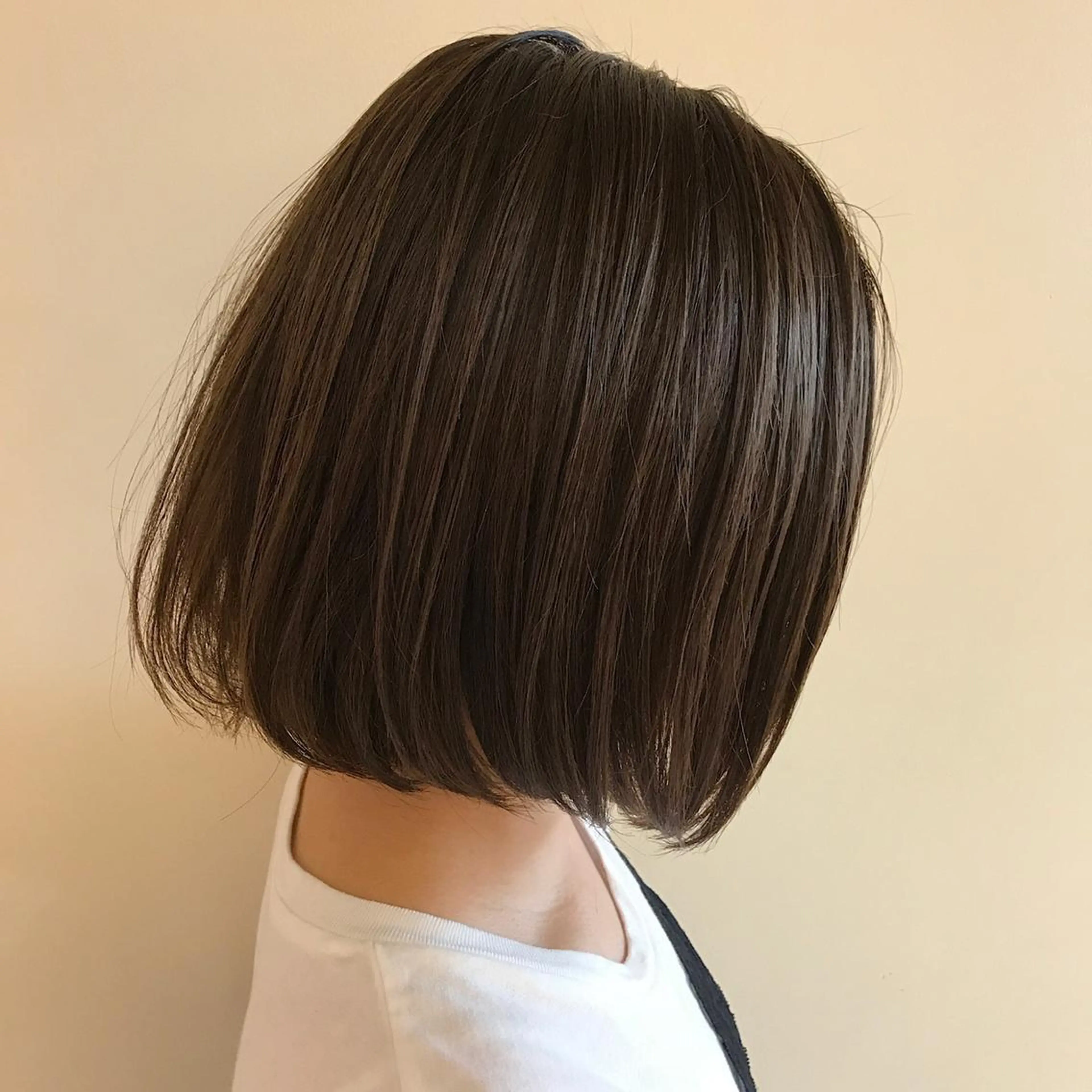 ショート カラー 大姶良 友輝の眉毛・アイブロウイメージ