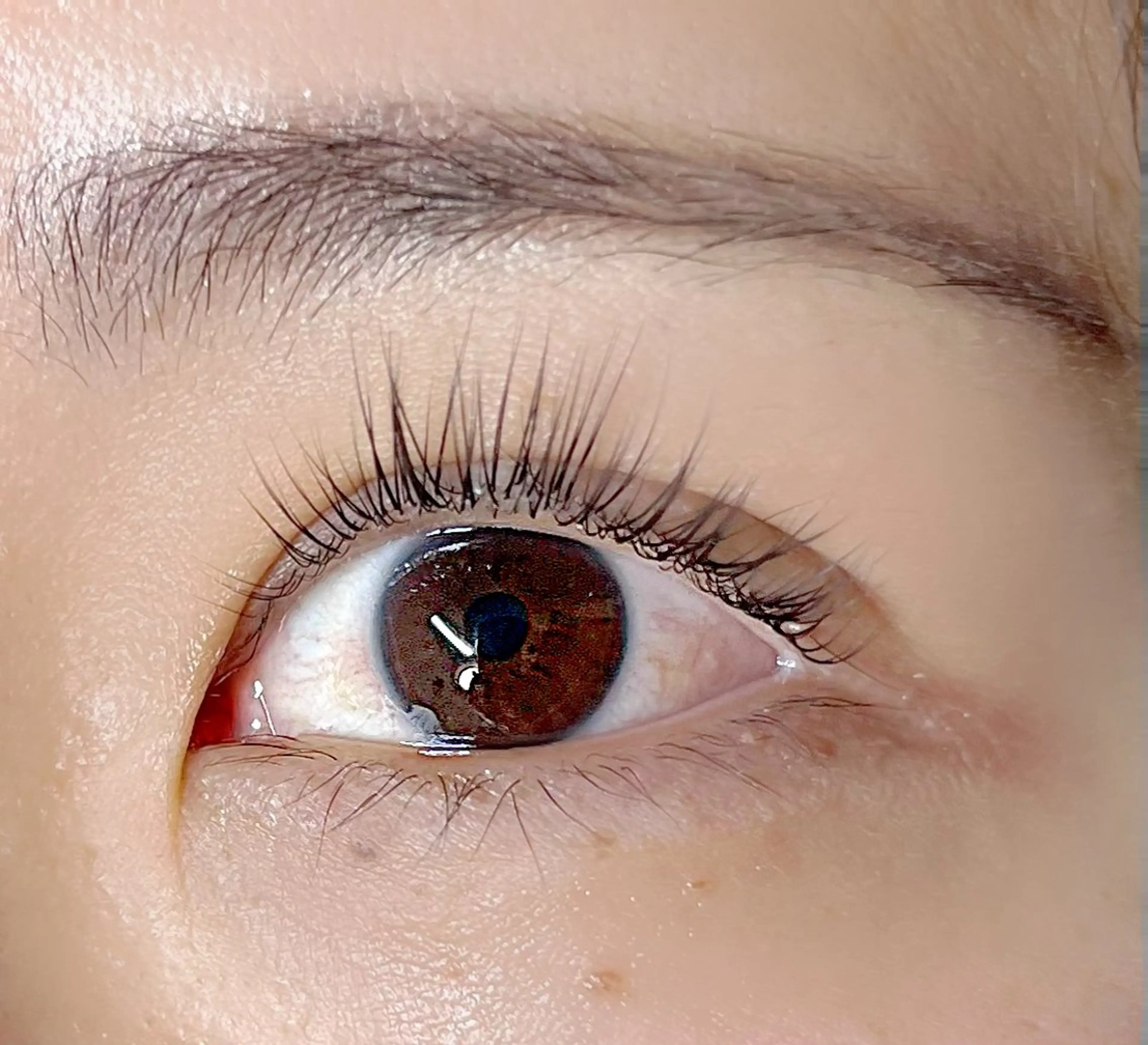 ラッシュリフト7000円コーティング付きの写真