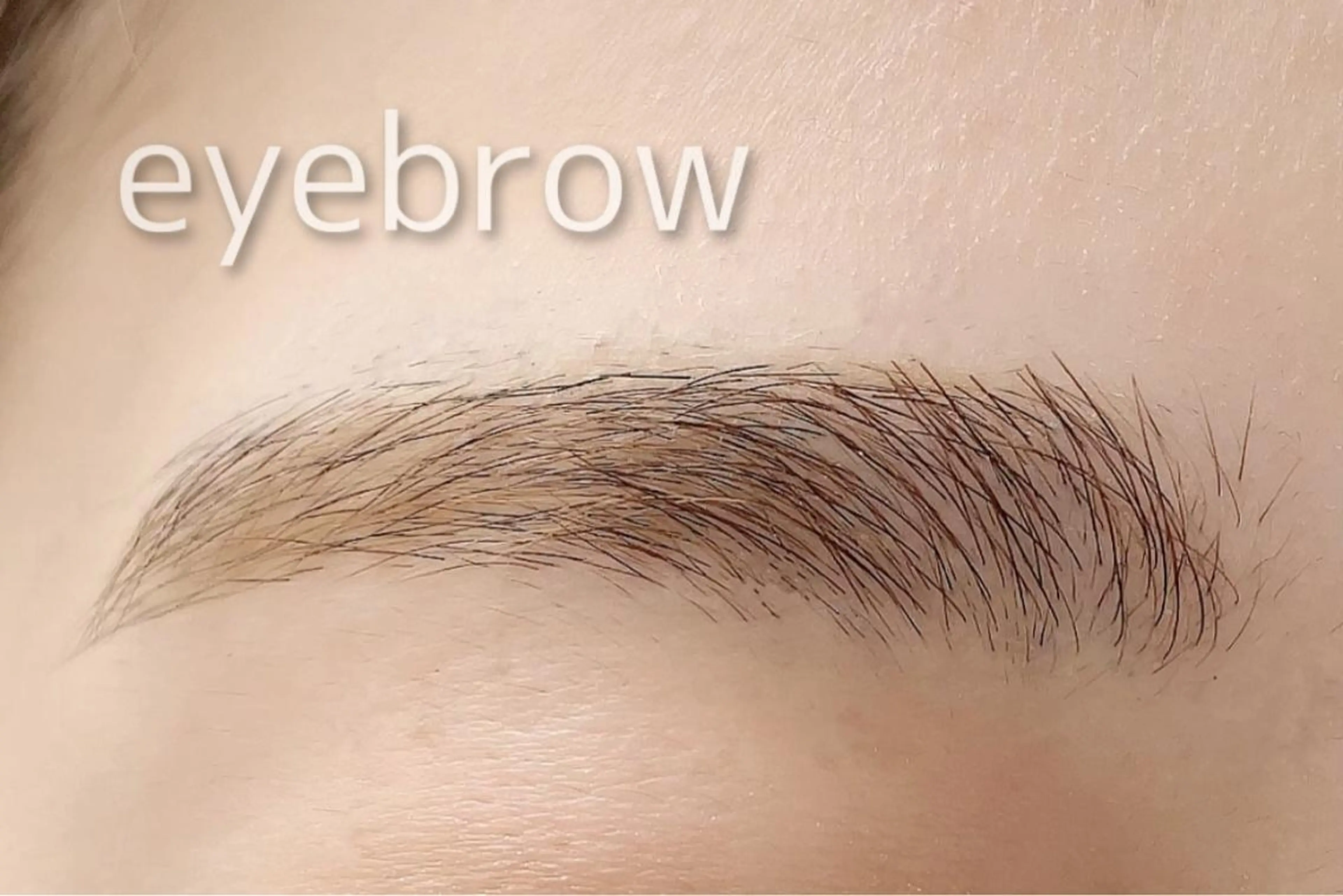 マツエク・マツパ chelien 下赤塚のマツエク・マツパデザイン