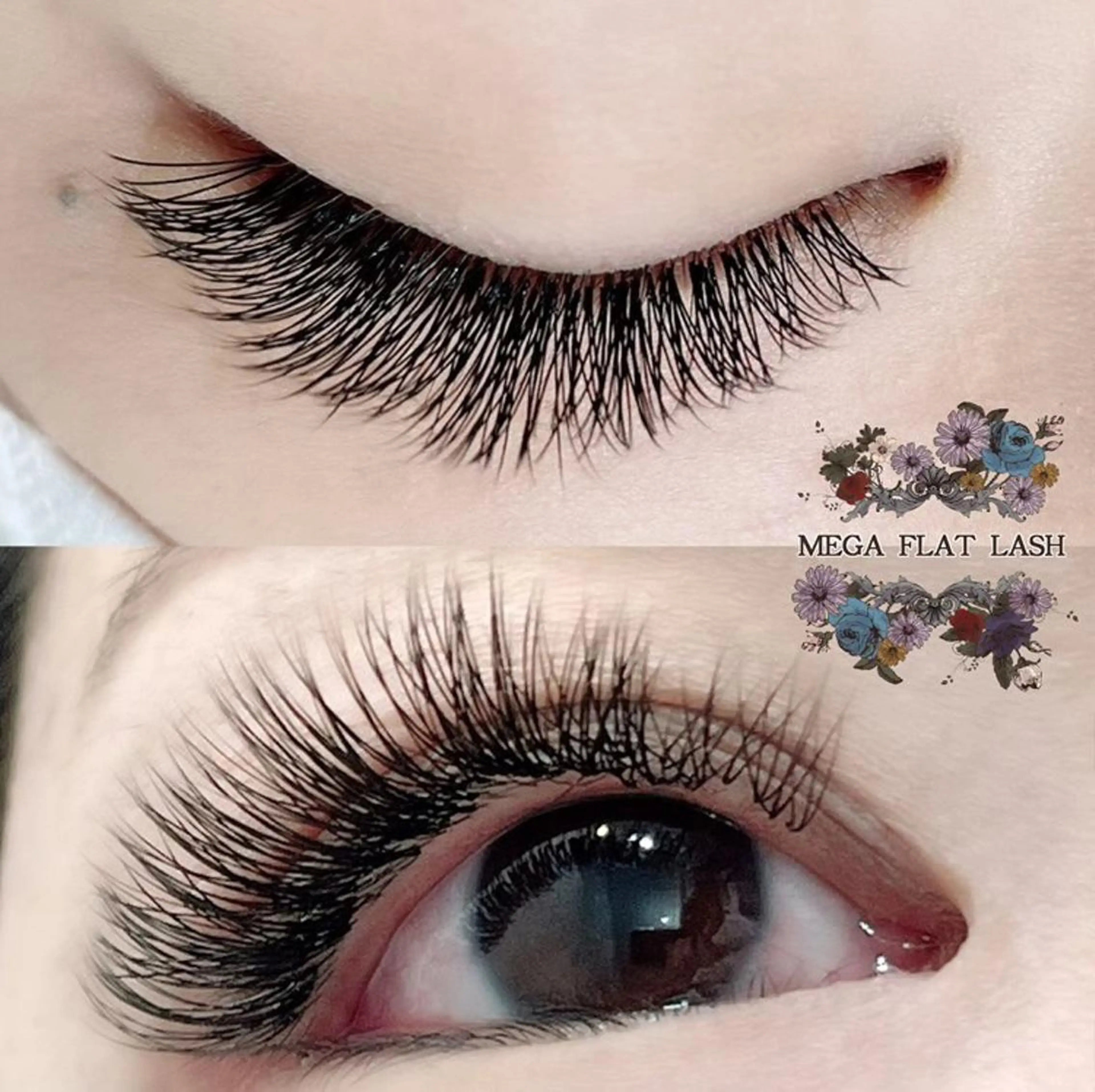 マツエク・マツパ PROGRESS 龍ヶ崎 小泉🦋のマツエク・マツパデザイン