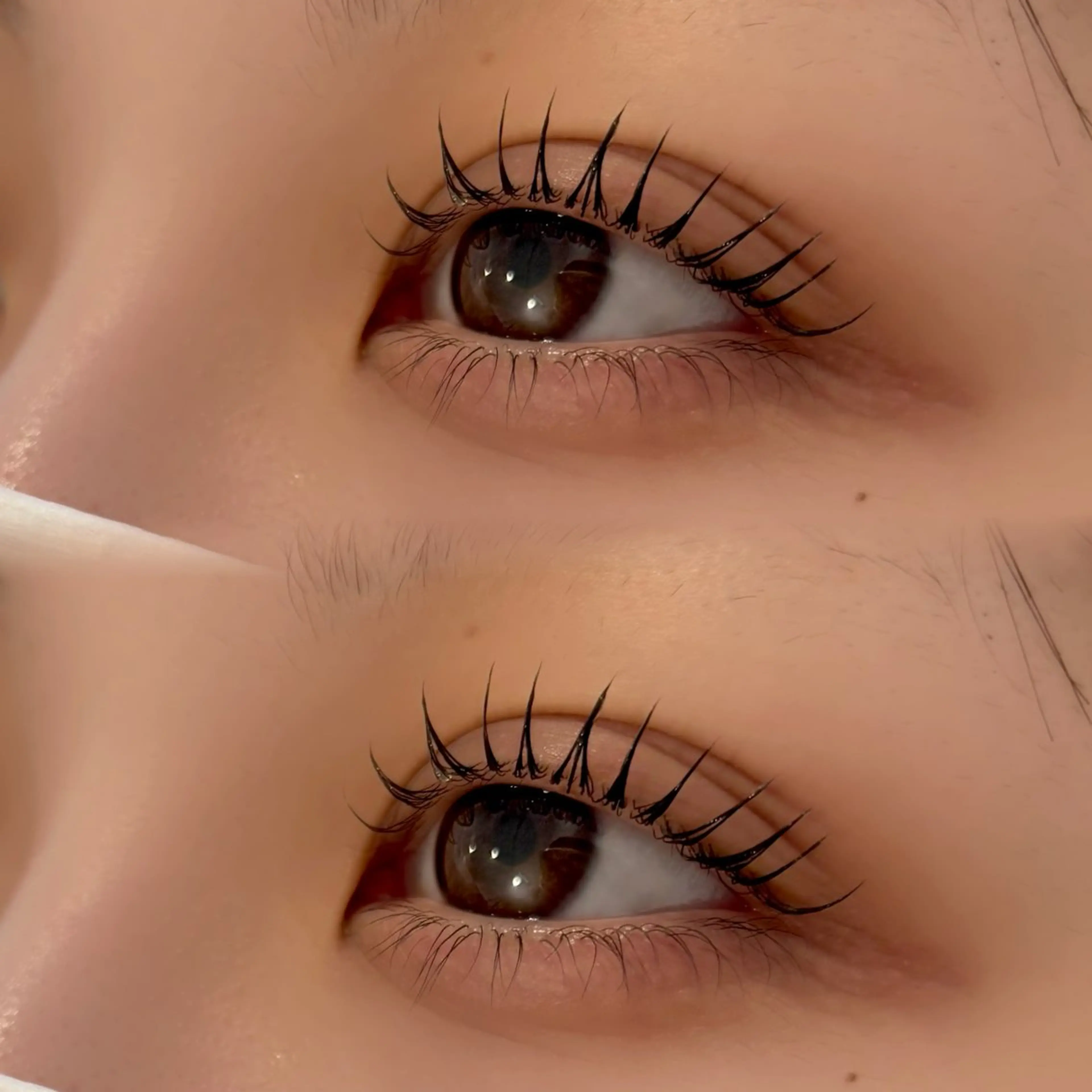 マツエク・マツパ ケラチンラッシュリフト Melty目白 SAKIのマツエク・マツパデザイン