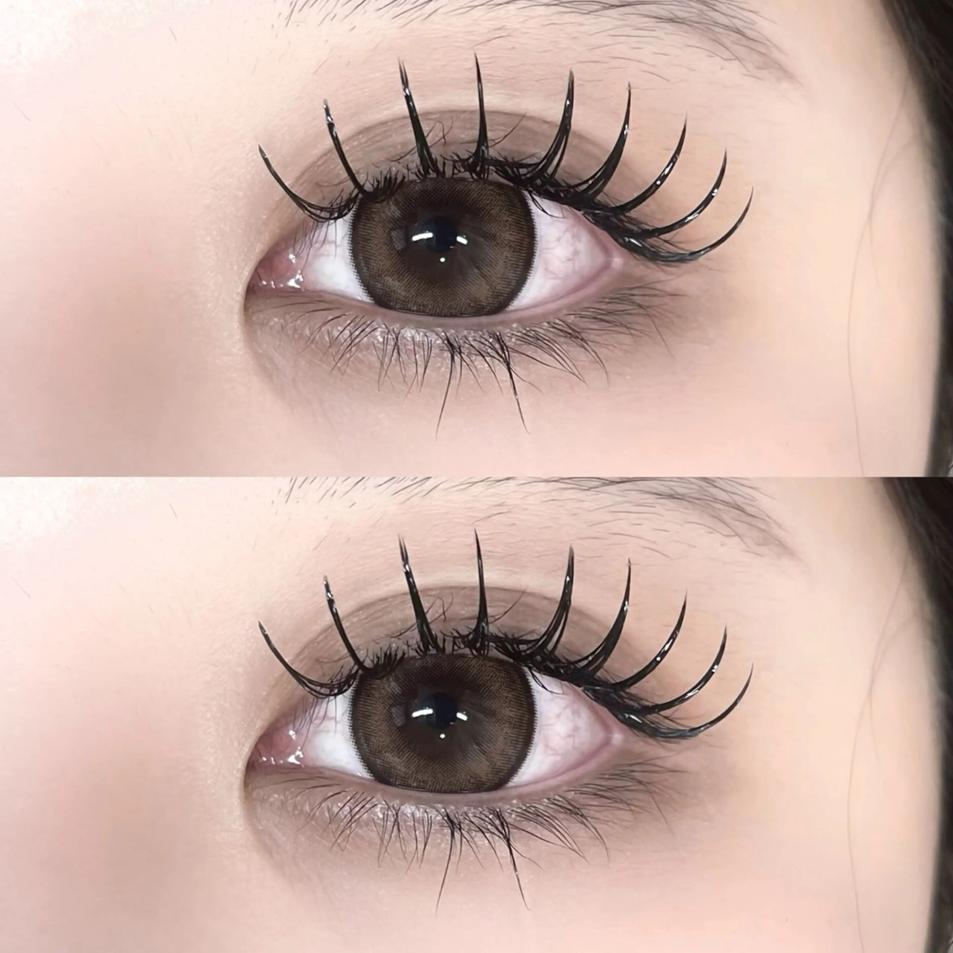 LEDエクステ付け放題 💋⭐︎の写真