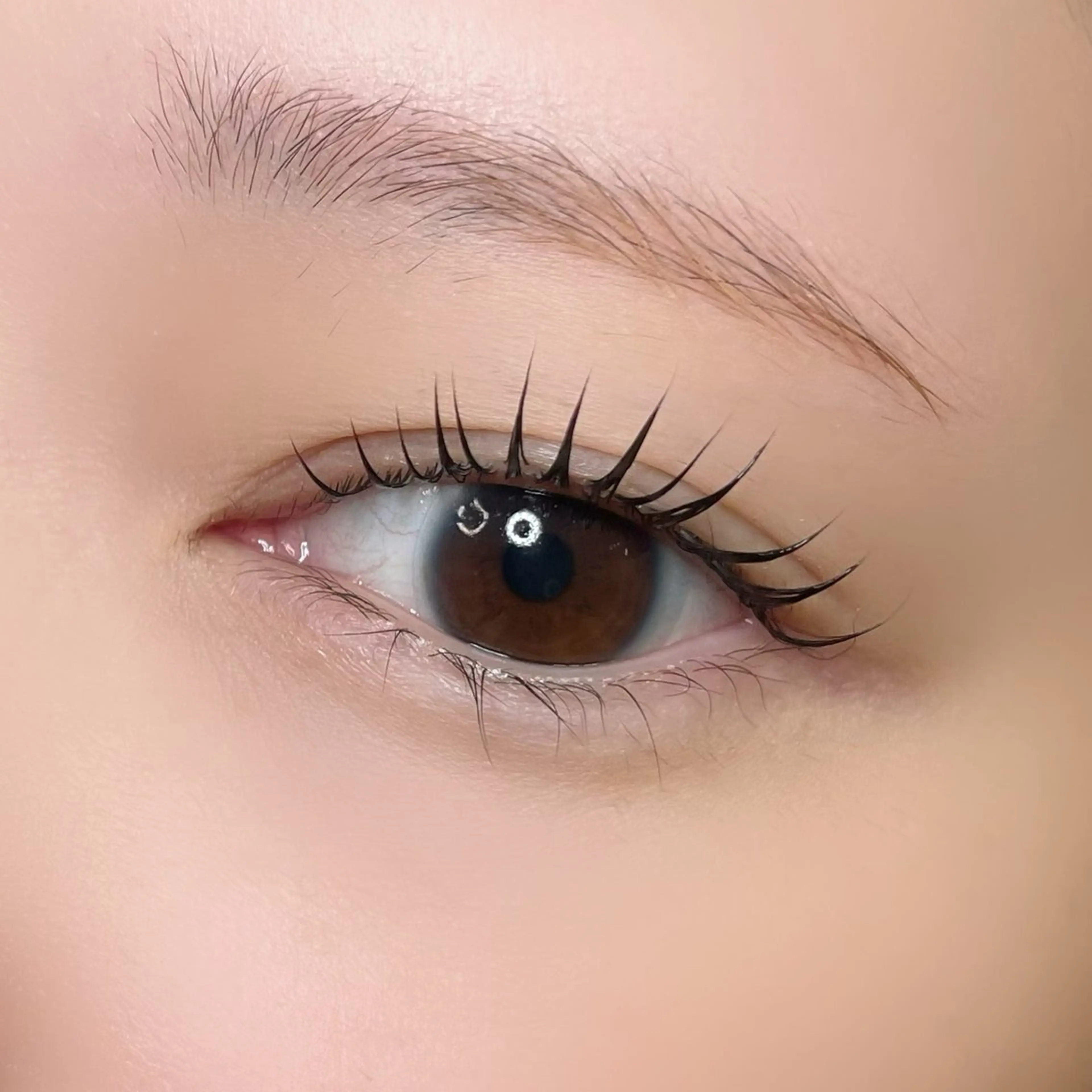 マツエク・マツパ イワイ こはるの眉毛・アイブロウイメージ