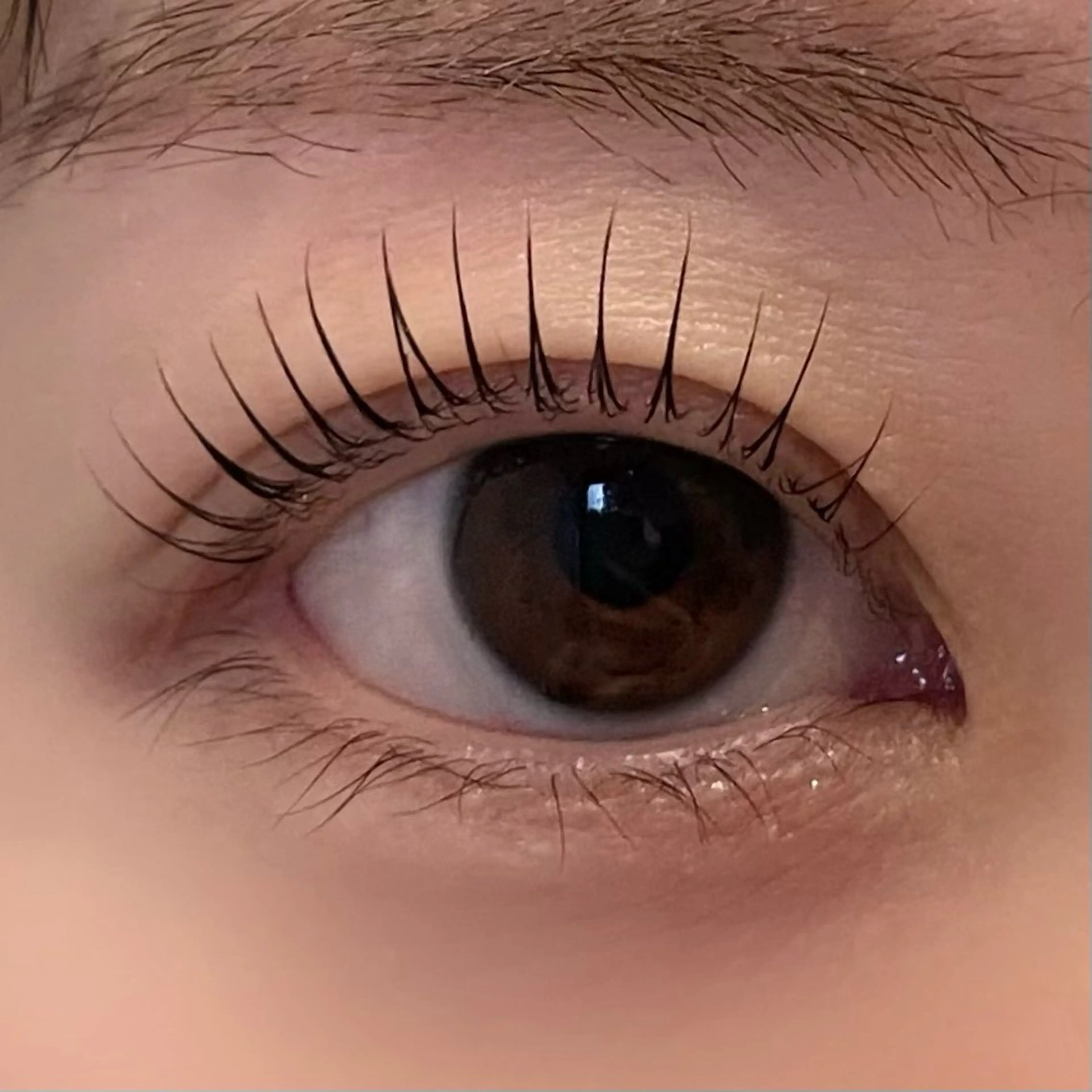 マツエク・マツパ 一重×まつ毛パーマ マツパ 眉毛/まつ毛/代官山 アイサロン🌻NAEのマツエク・マツパデザイン