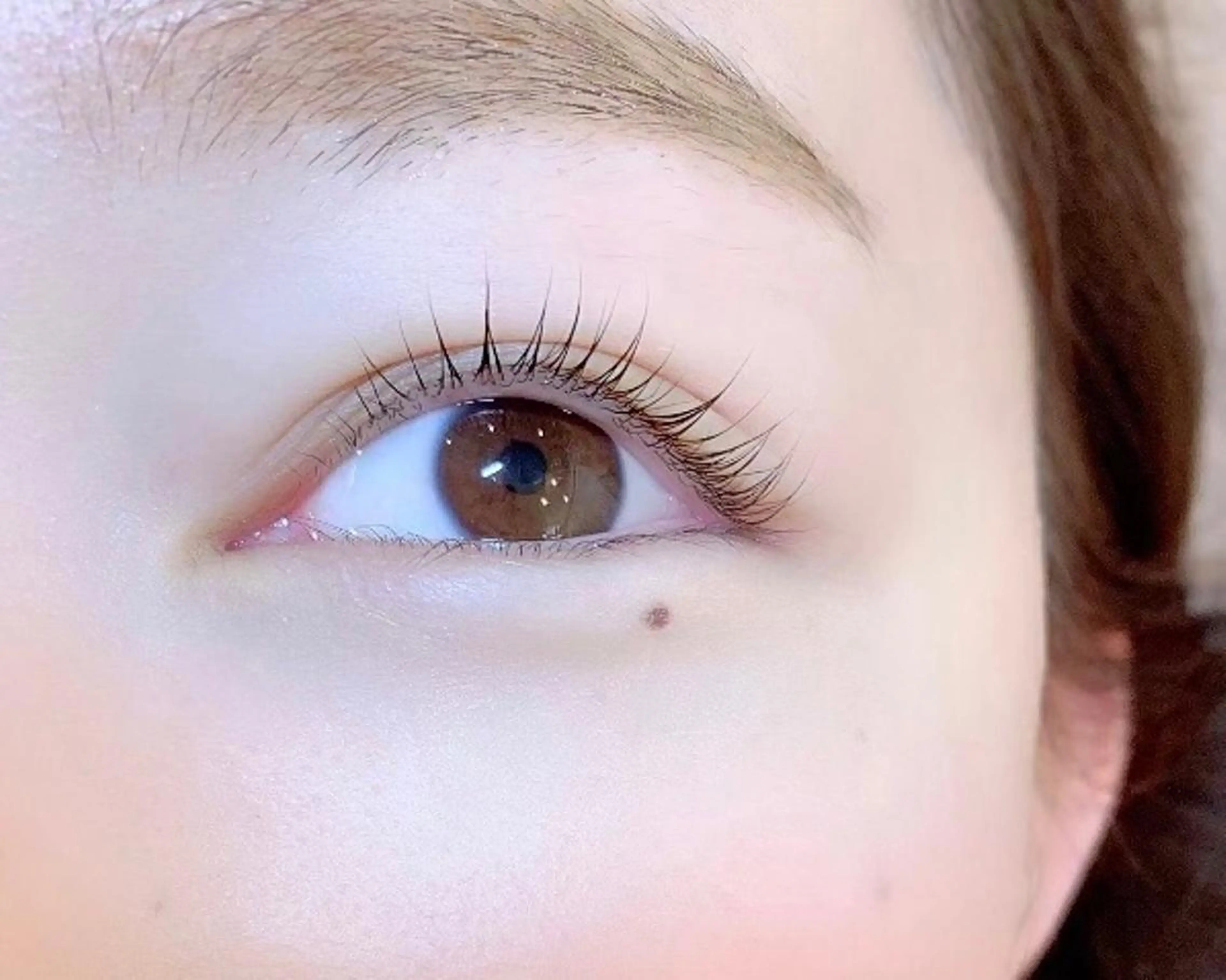 ラッシュリフト♡6500円の写真