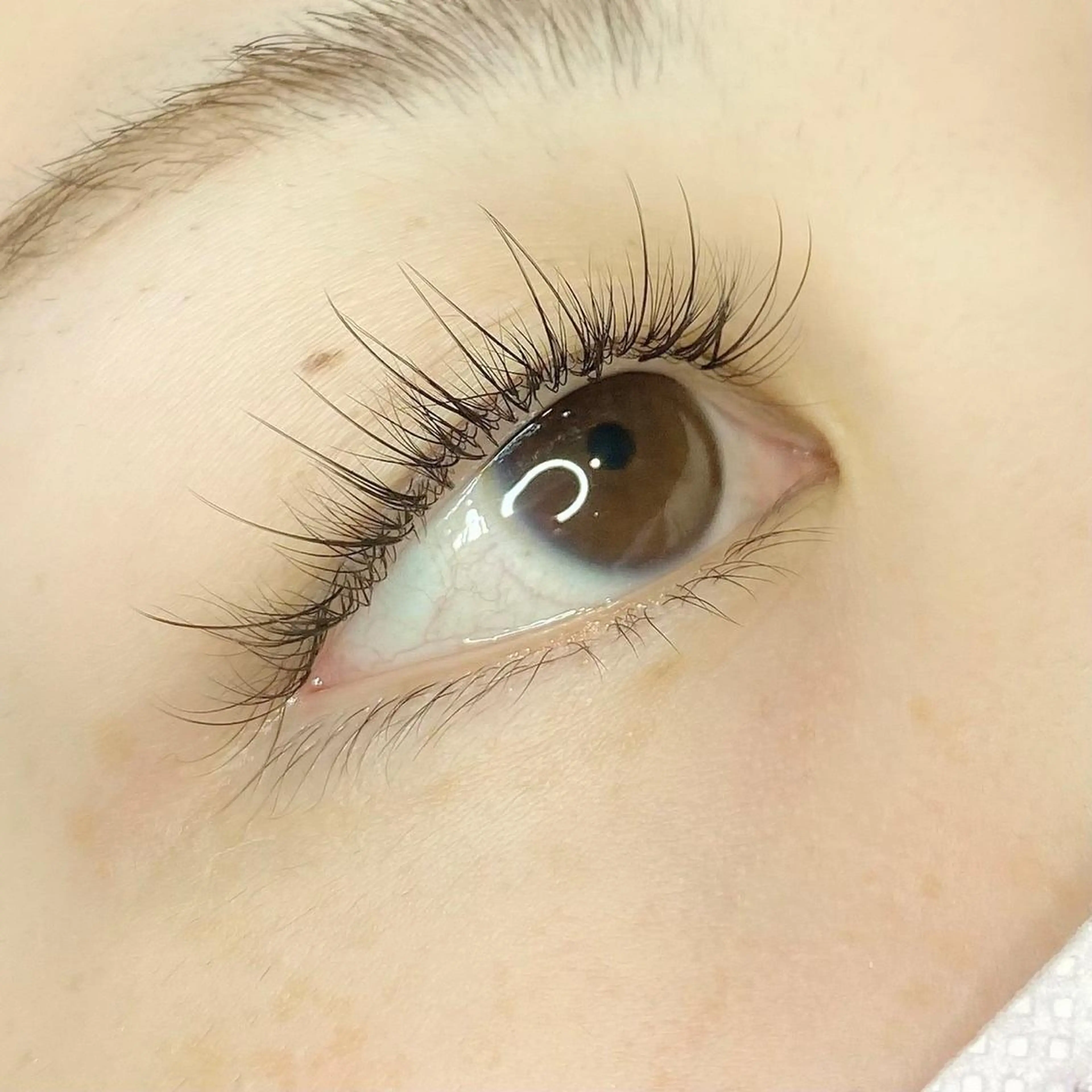 マツエク・マツパ ワンホンマツエク マツエク KURUMI🦋 まつエクまつパ美眉のマツエク・マツパデザイン