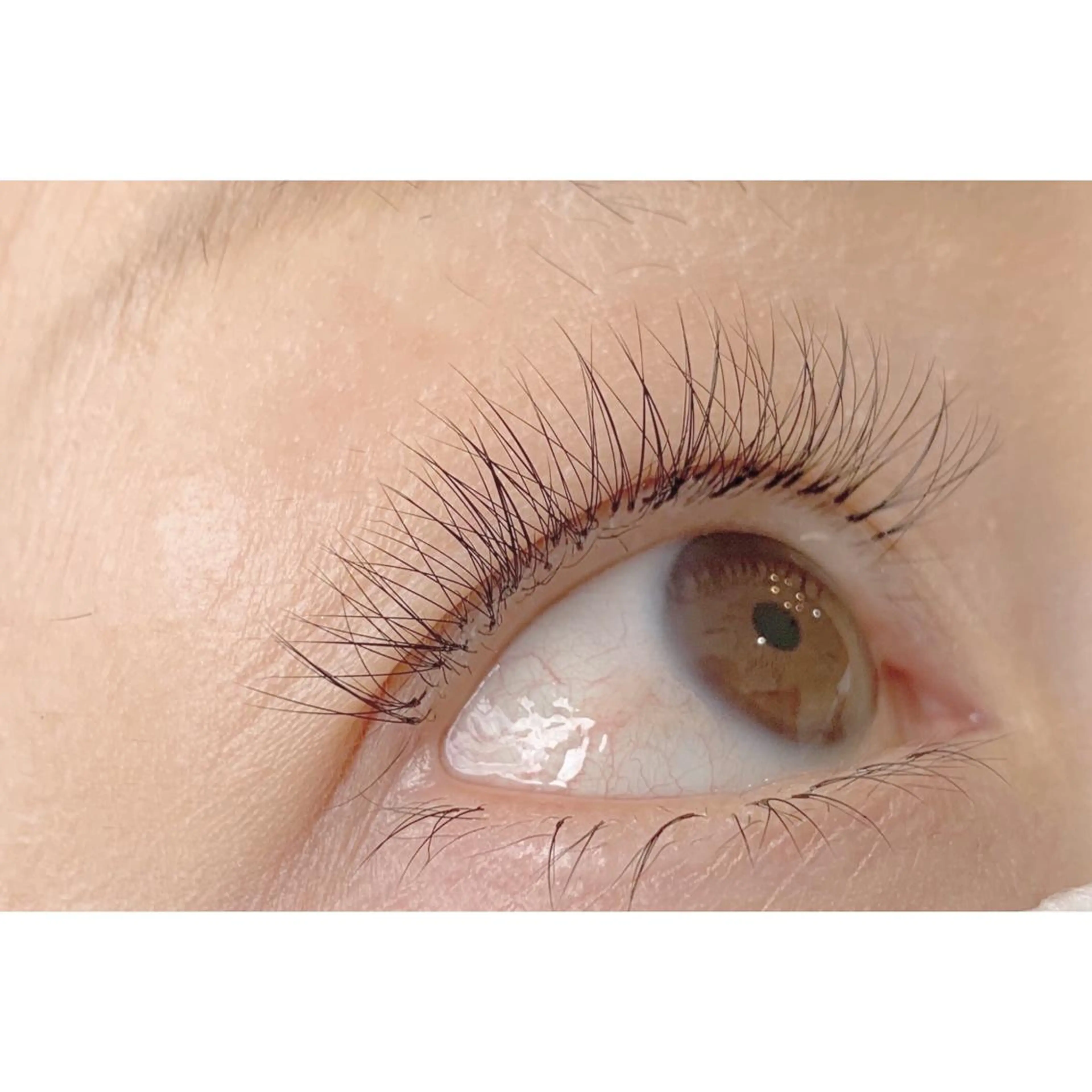 マツエク・マツパ chelien 下赤塚のマツエク・マツパデザイン