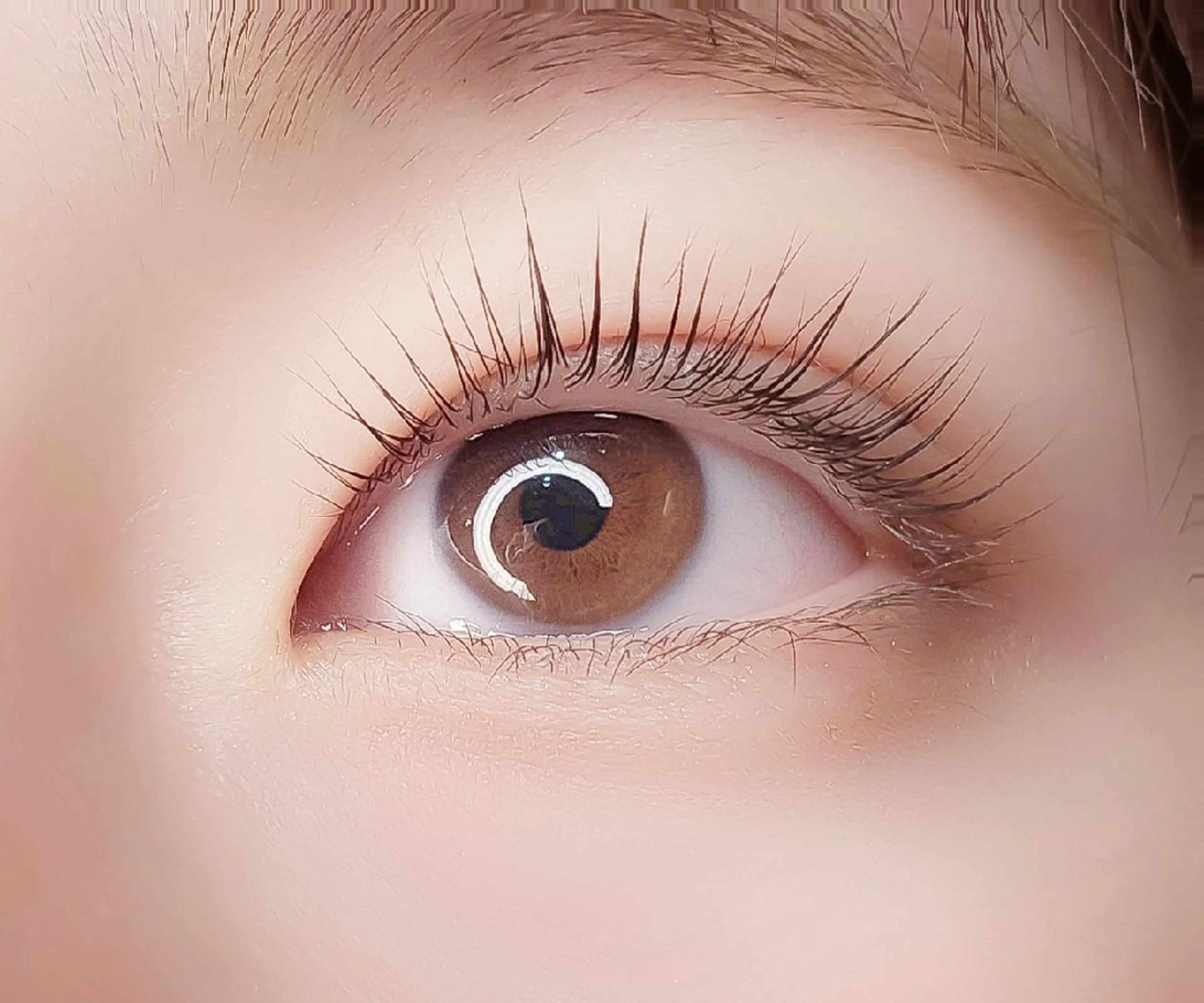 マツエク・マツパ まつげパーマ 個室サロンcopel 　kishimotoのマツエク・マツパデザイン