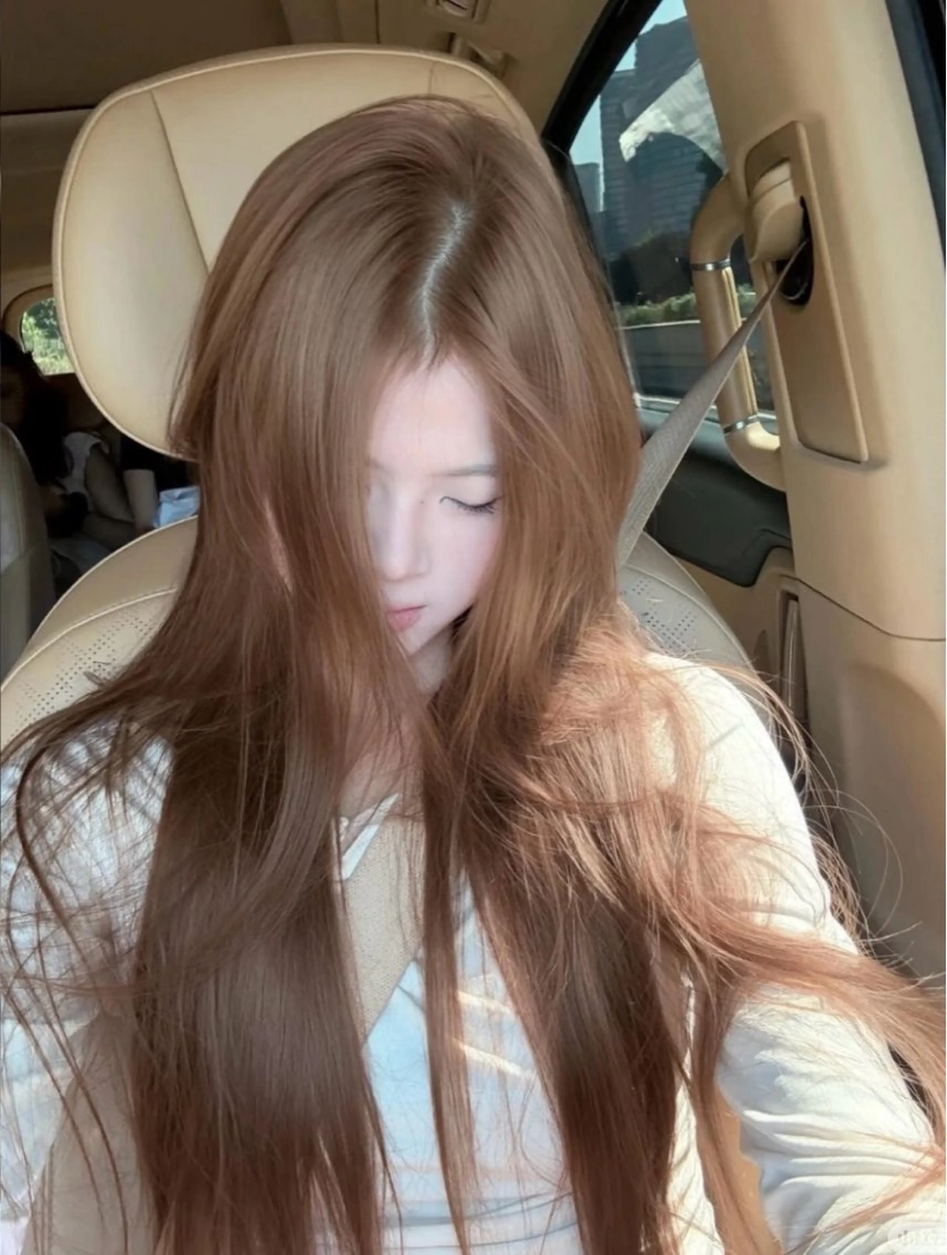 カラー +トリートメントの写真