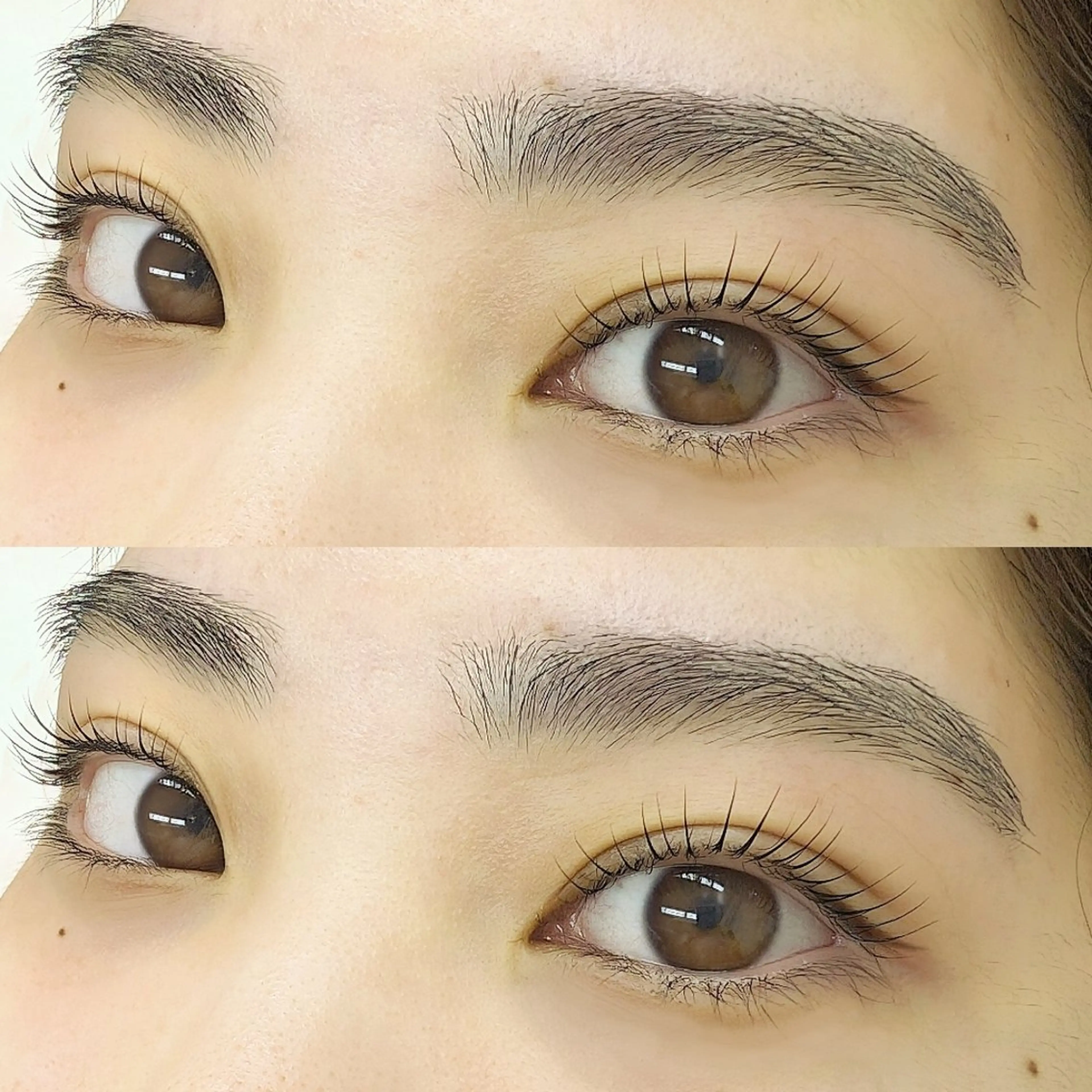 【男女可】アイブロウスタイリング+次世代ラッシュリフトの写真