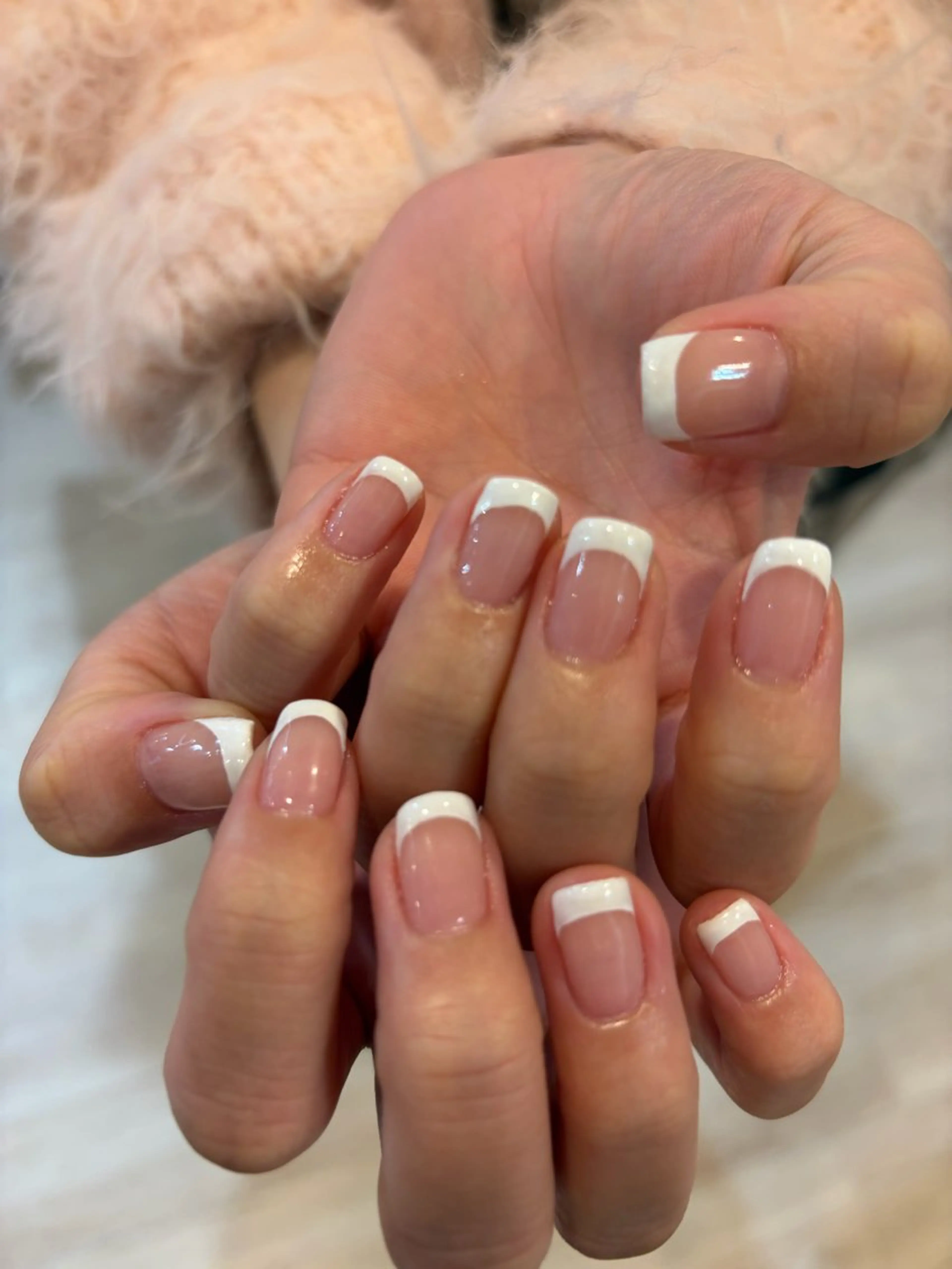 【2級Jrネイリスト練習モデル】ベースカラーありフレンチ☆オフありの写真