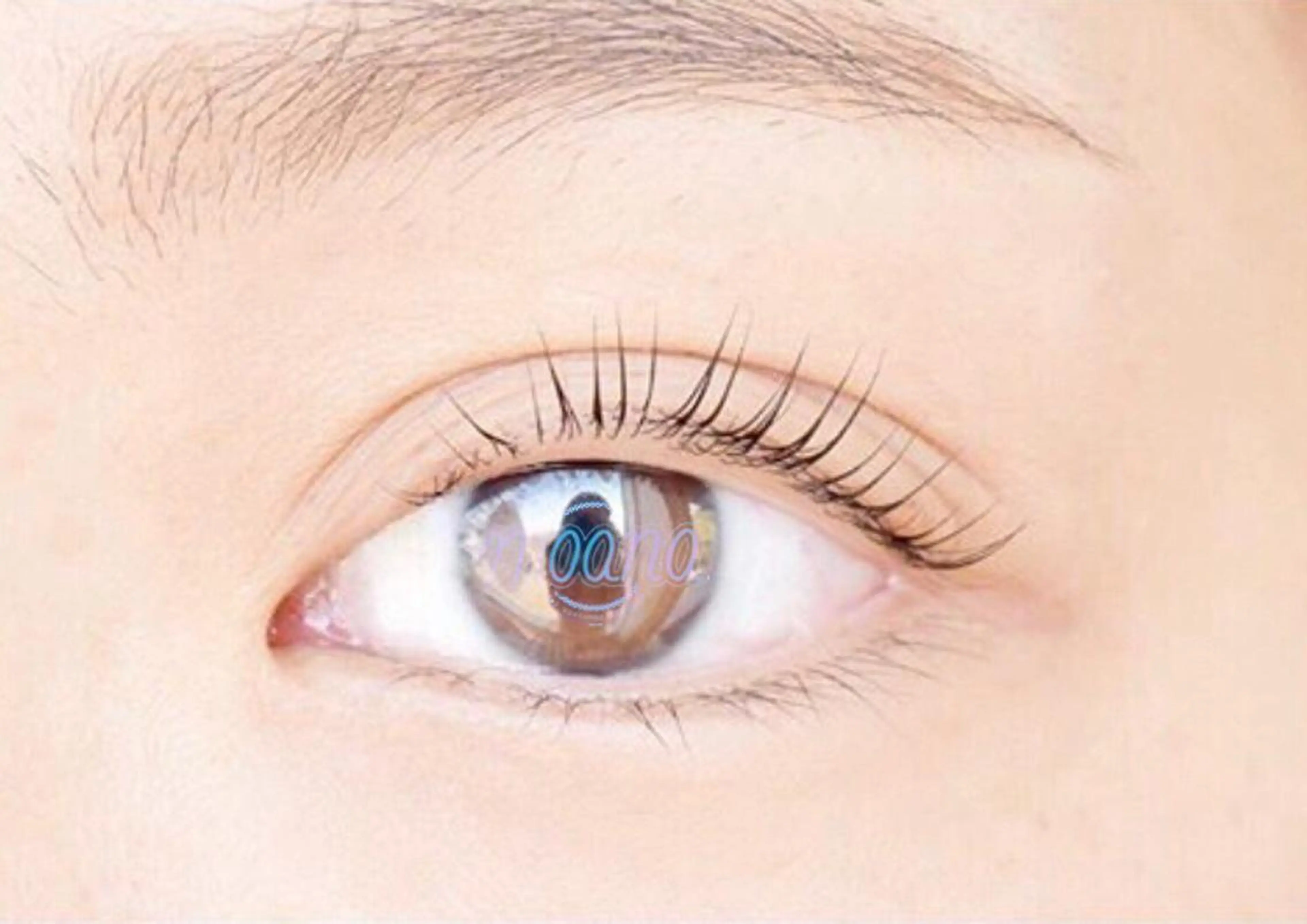 マツエク・マツパ eyelash salon Chérie所属・Chérie Yurieのマツエク・マツパデザイン