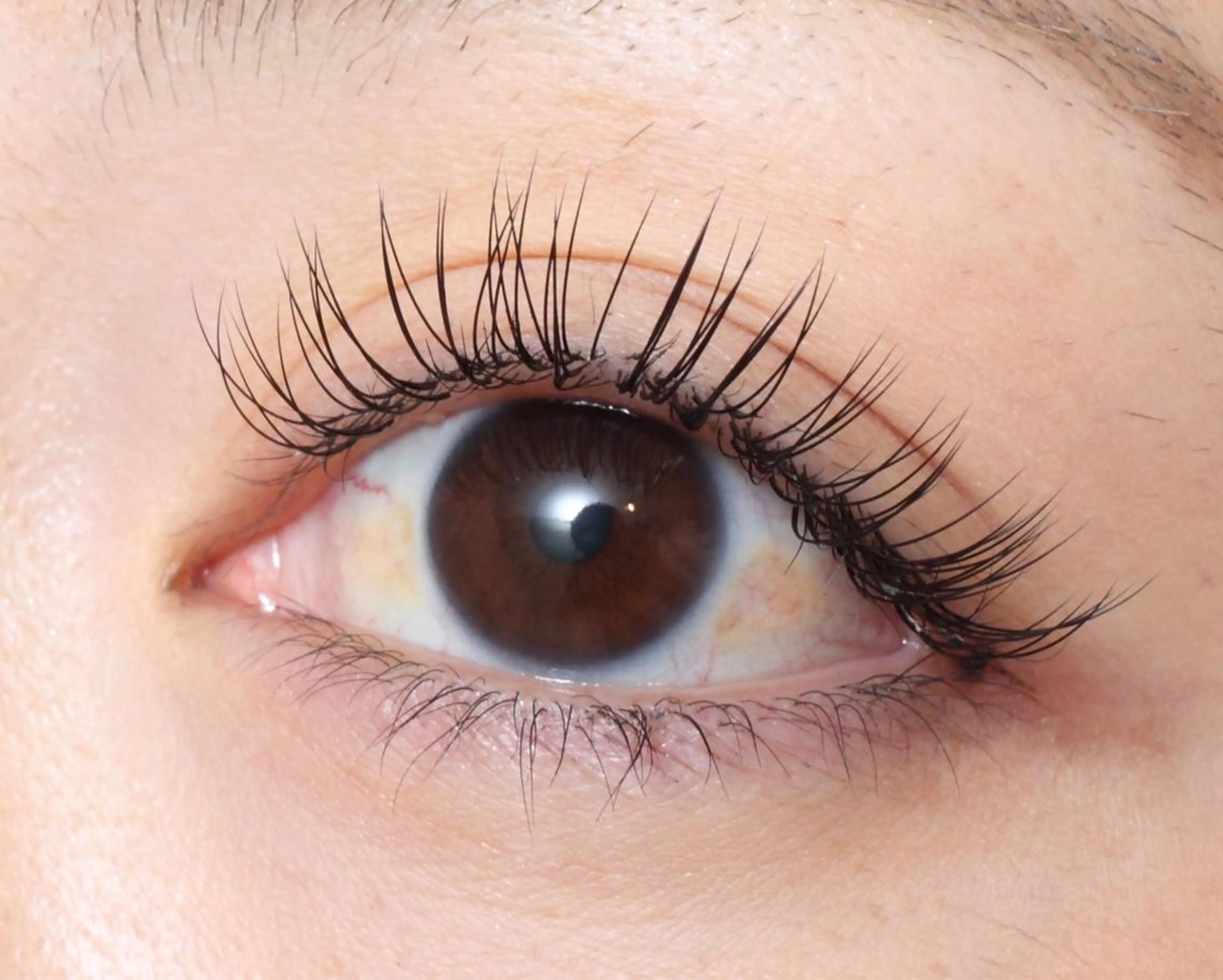 マツエク・マツパ カルペ・ディエム Anのマツエク・マツパデザイン